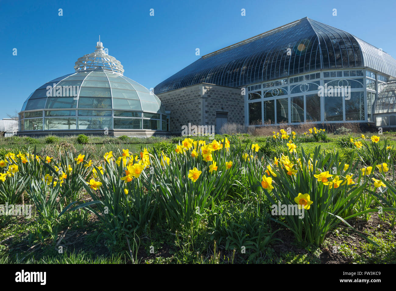 Giunchiglie PHIPPS conservatorio edificio (©Signore & BURNHAM 1893) SCHENLEY PARK PITTSBURGH PENNSYLVANIA USA Foto Stock