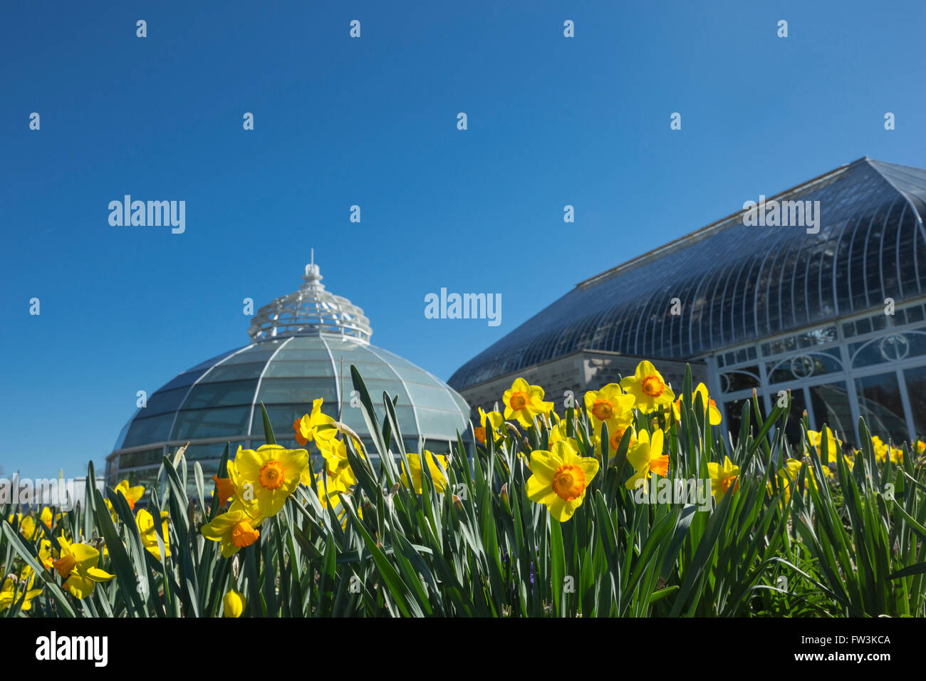 Giunchiglie PHIPPS conservatorio edificio (©Signore & BURNHAM 1893) SCHENLEY PARK PITTSBURGH PENNSYLVANIA USA Foto Stock