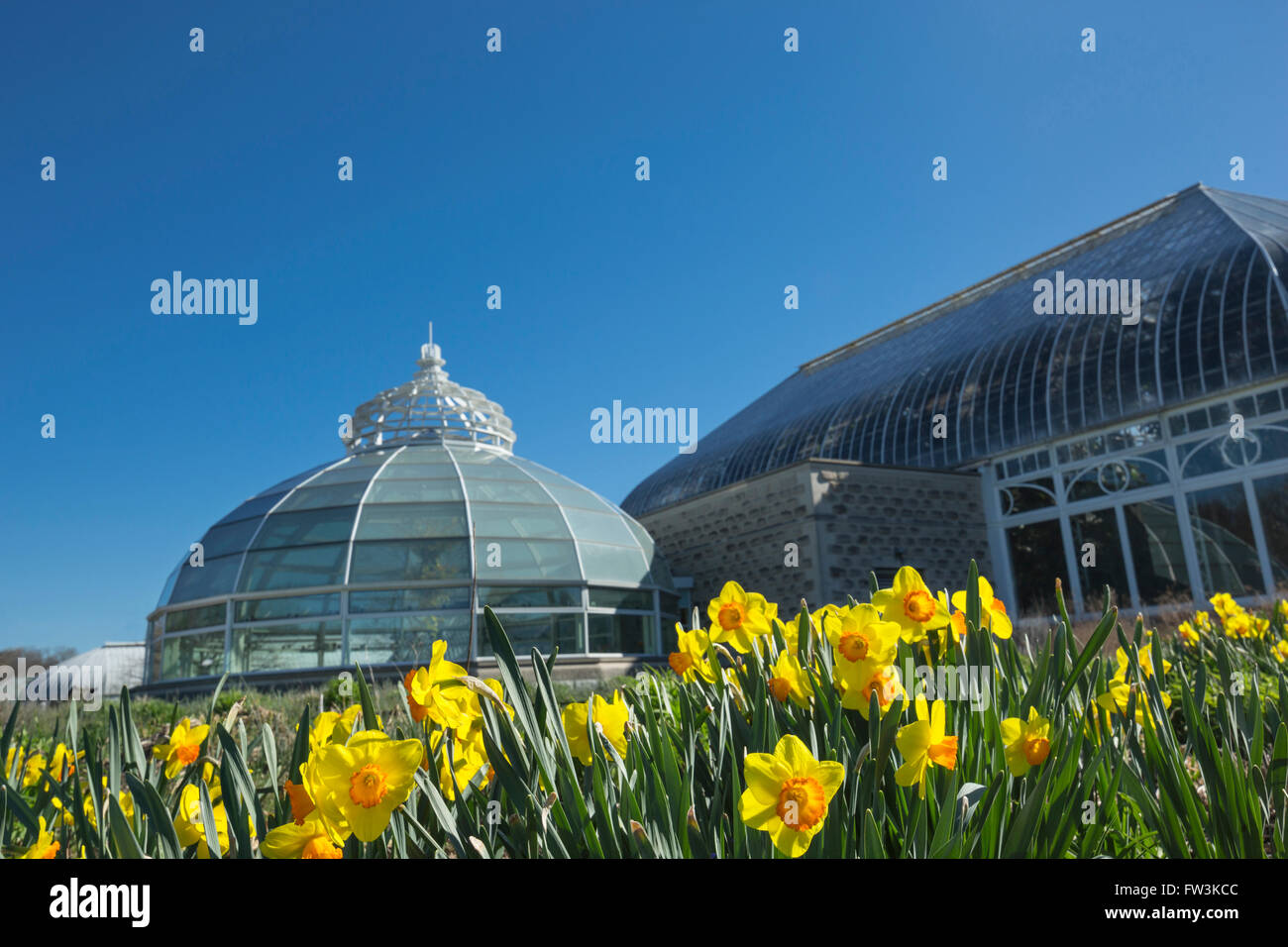 Giunchiglie PHIPPS conservatorio edificio (©Signore & BURNHAM 1893) SCHENLEY PARK PITTSBURGH PENNSYLVANIA USA Foto Stock