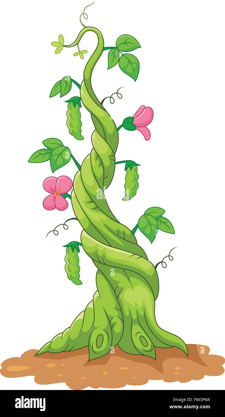 Illustrazione della levetta del fagiolo Illustrazione Vettoriale