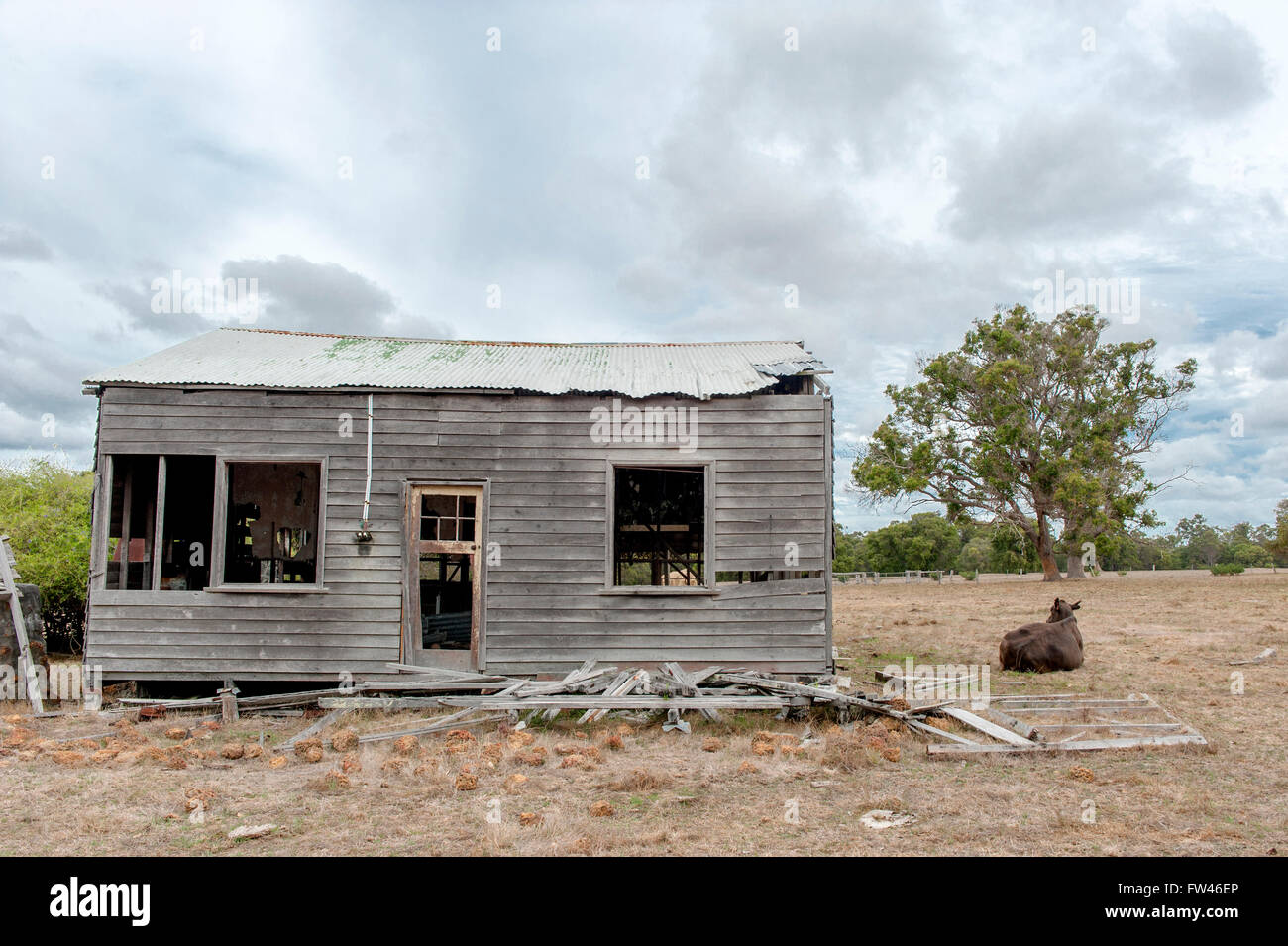 Il vecchio capannone con allevamento di bestiame su terreni agricoli a Grotte Road, Margaret River, Australia occidentale, Australia Foto Stock