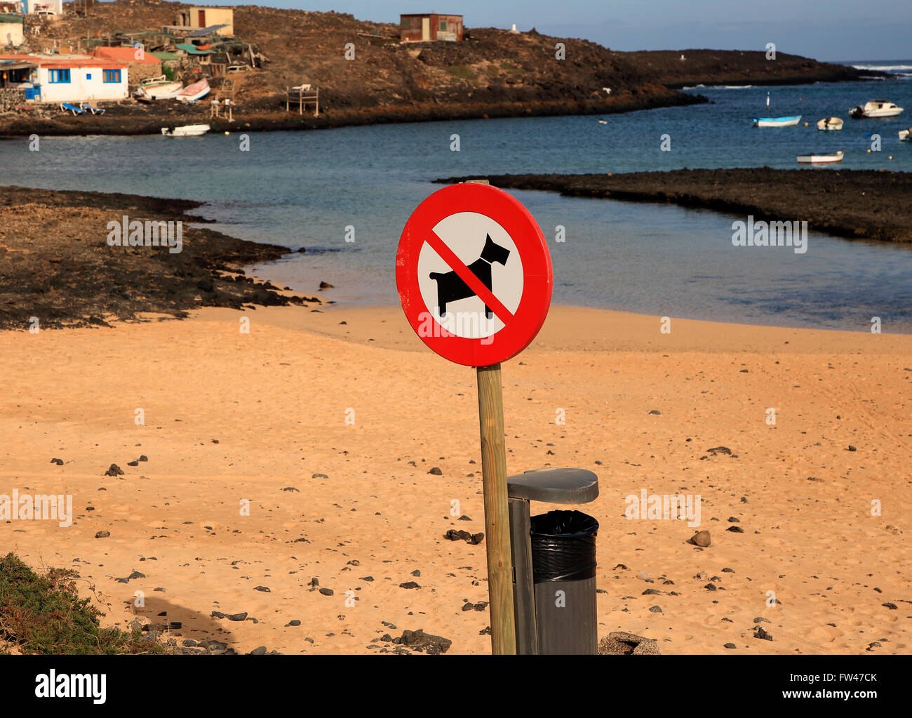 No cani sulla spiaggia del villaggio di segno di Majanicho sulla costa nord, Fuerteventura, Isole Canarie, Spagna Foto Stock