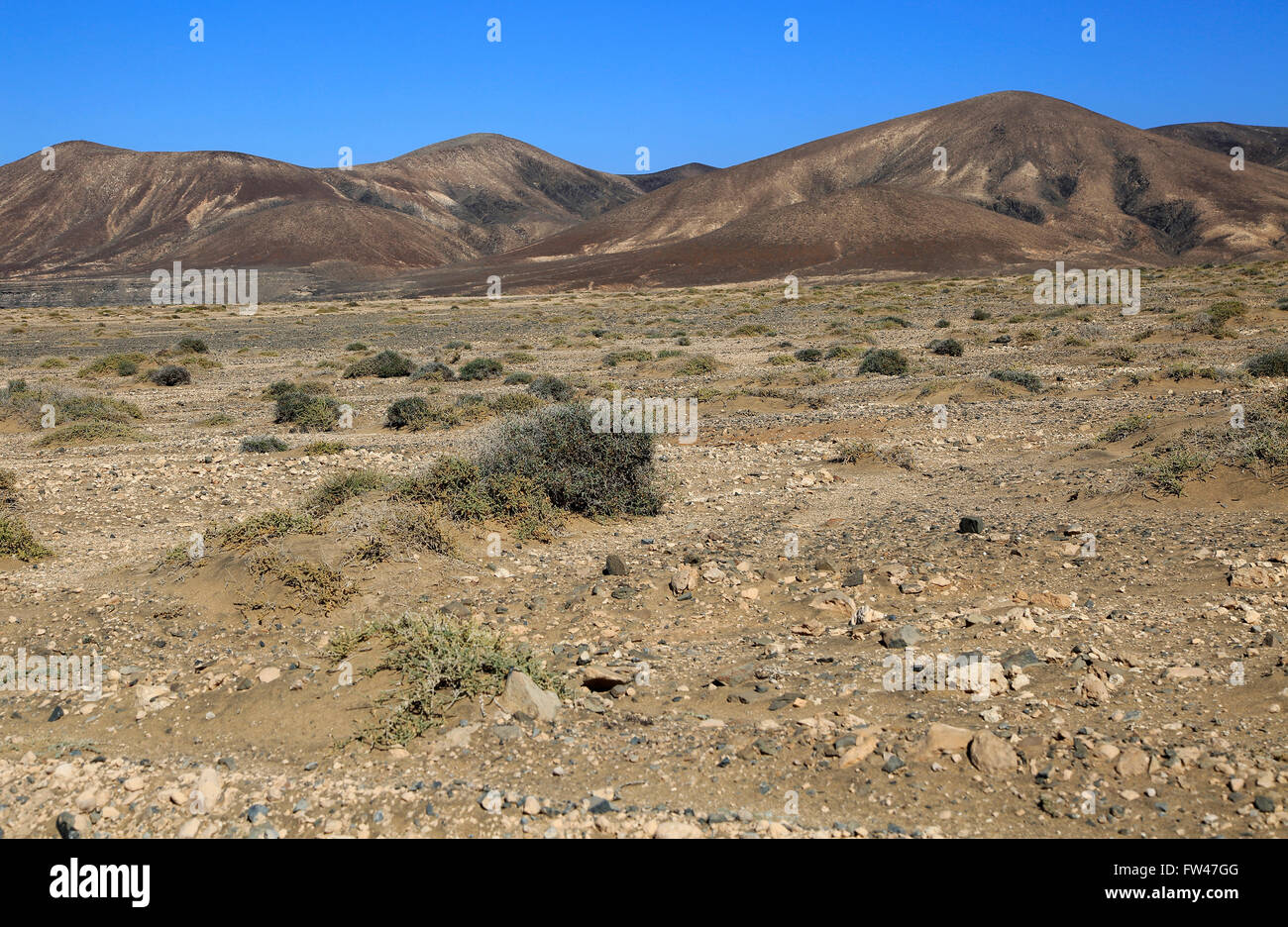 Asciugare paesaggio di montagna arida vicino Paraja, Fuerteventura, Isole Canarie, Spagna Foto Stock
