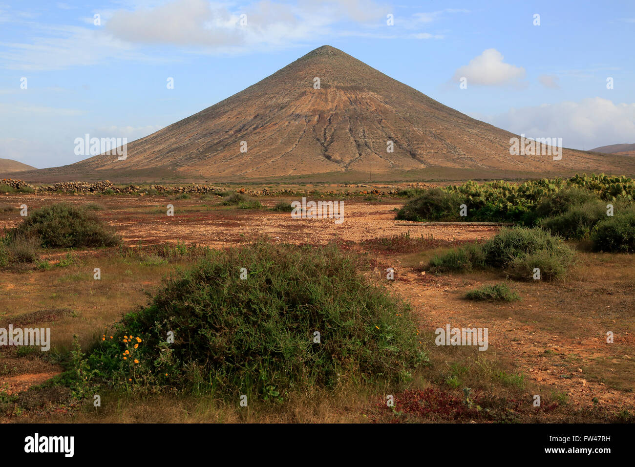 Il cono del vulcano nei pressi di La Oliva, Fuerteventura, Isole Canarie, Spagna Foto Stock