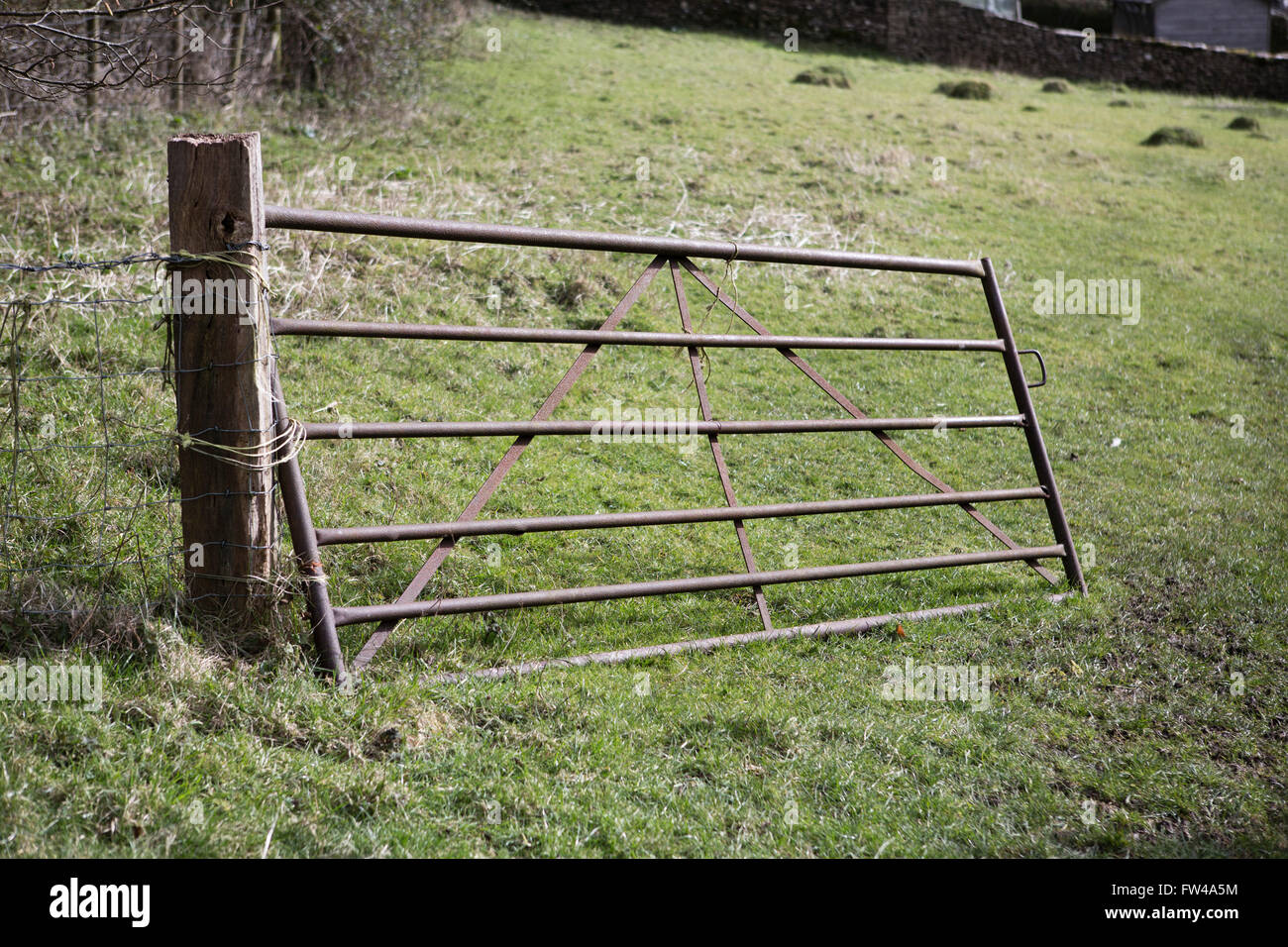 Il vecchio metal di gate inserendo un agricoltore del campo rotto e appeso è cerniere. Foto Stock