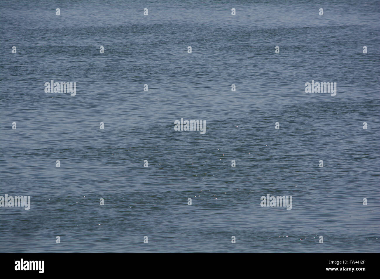Questa è una foto di acqua in un lago che è tutto increspato e ondulato a causa del vento. Foto Stock