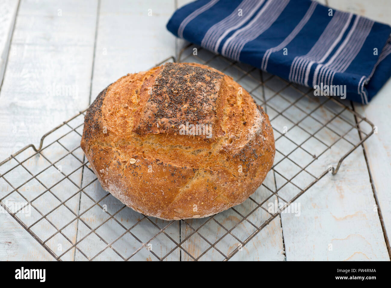 Filone di pane appena sfornato unsliced Struan fatti in casa pane su un rustico tavolo blu. Foto Stock