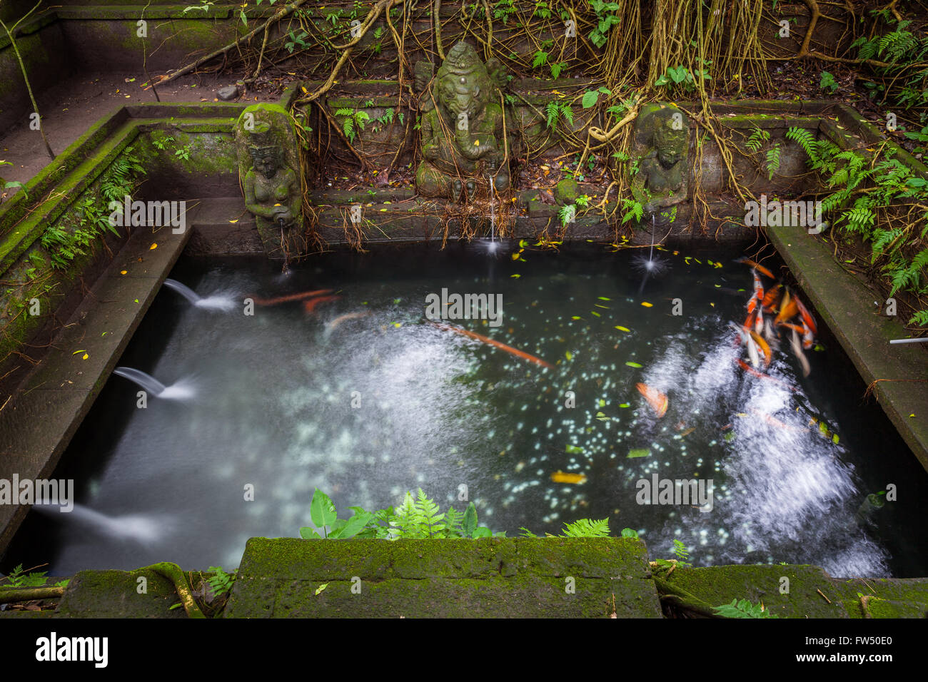 Piscina di balneazione nella Primavera sacra tempio sacro Santuario della Foresta delle Scimmie, Ubud, Bali, Indonesia Foto Stock Piscina di balneazione nella Primavera sacra tempio sacro Santuario della Foresta delle Scimmie, Ubud, Bali, Indonesia Foto Stock