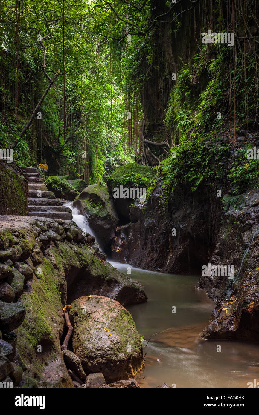 Santuario della Foresta delle Scimmie, Ubud, Bali, Indonesia Foto Stock