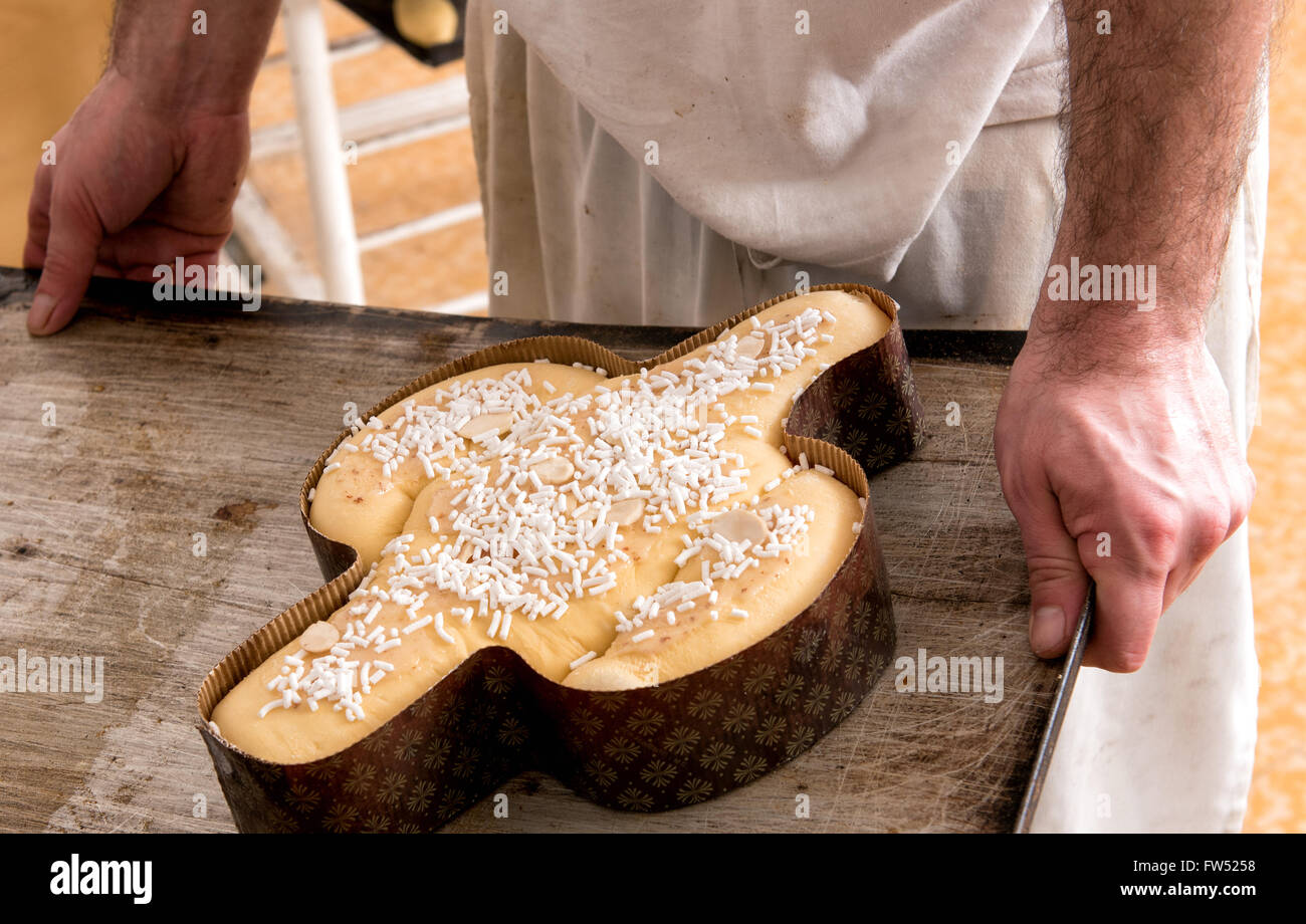 Baker circa al posto di una a forma di colomba pasquale tradizionale colomba la torta nel forno, in prossimità delle sue mani Foto Stock
