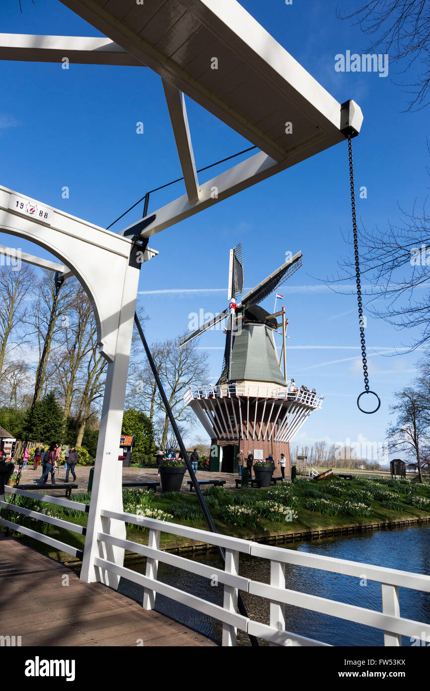 Lisse, South Holland, Paesi Bassi. Il 30 marzo 2016. Mulino a vento olandese. Il Keukenhof, olandesi principali di attrazione turistica è aperto dal 24 marzo al 16 maggio 2016 a Lisse, South Holland. Più di 7 milioni di tulipani, narcisi e giacinti riempire oltre 32 ettari con padiglioni dotati di visualizzazioni speciali. Il tema del 2016 è "l'età d'Oro", il periodo in cui i Paesi Bassi sono andato attraverso tempi fiorenti in termini di commercio, delle arti e delle scienze; il SER l'olandese ha scoperto il mondo e la Tulip commercio prosperò. Foto Stock