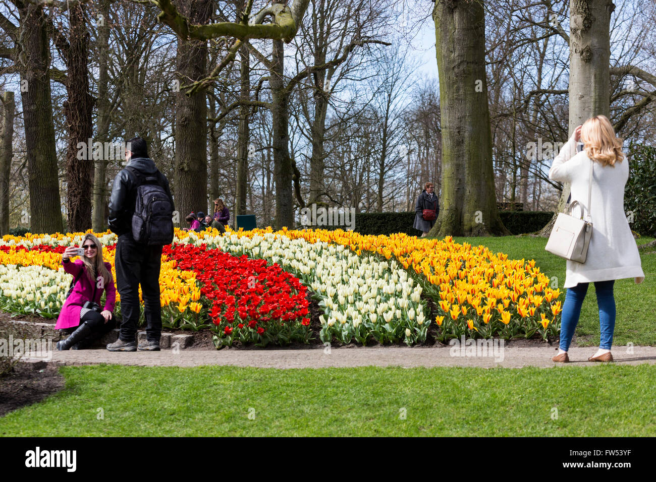 Lisse, South Holland, Paesi Bassi. Il 30 marzo 2016. Il Keukenhof, olandesi principali di attrazione turistica è aperto dal 24 marzo al 16 maggio 2016 a Lisse, South Holland. Più di 7 milioni di tulipani, narcisi e giacinti riempire oltre 32 ettari con padiglioni dotati di visualizzazioni speciali. Il tema del 2016 è "l'età d'Oro", il periodo in cui i Paesi Bassi sono andato attraverso tempi fiorenti in termini di commercio, delle arti e delle scienze; il SER l'olandese ha scoperto il mondo e la Tulip commercio prosperò. Foto Stock