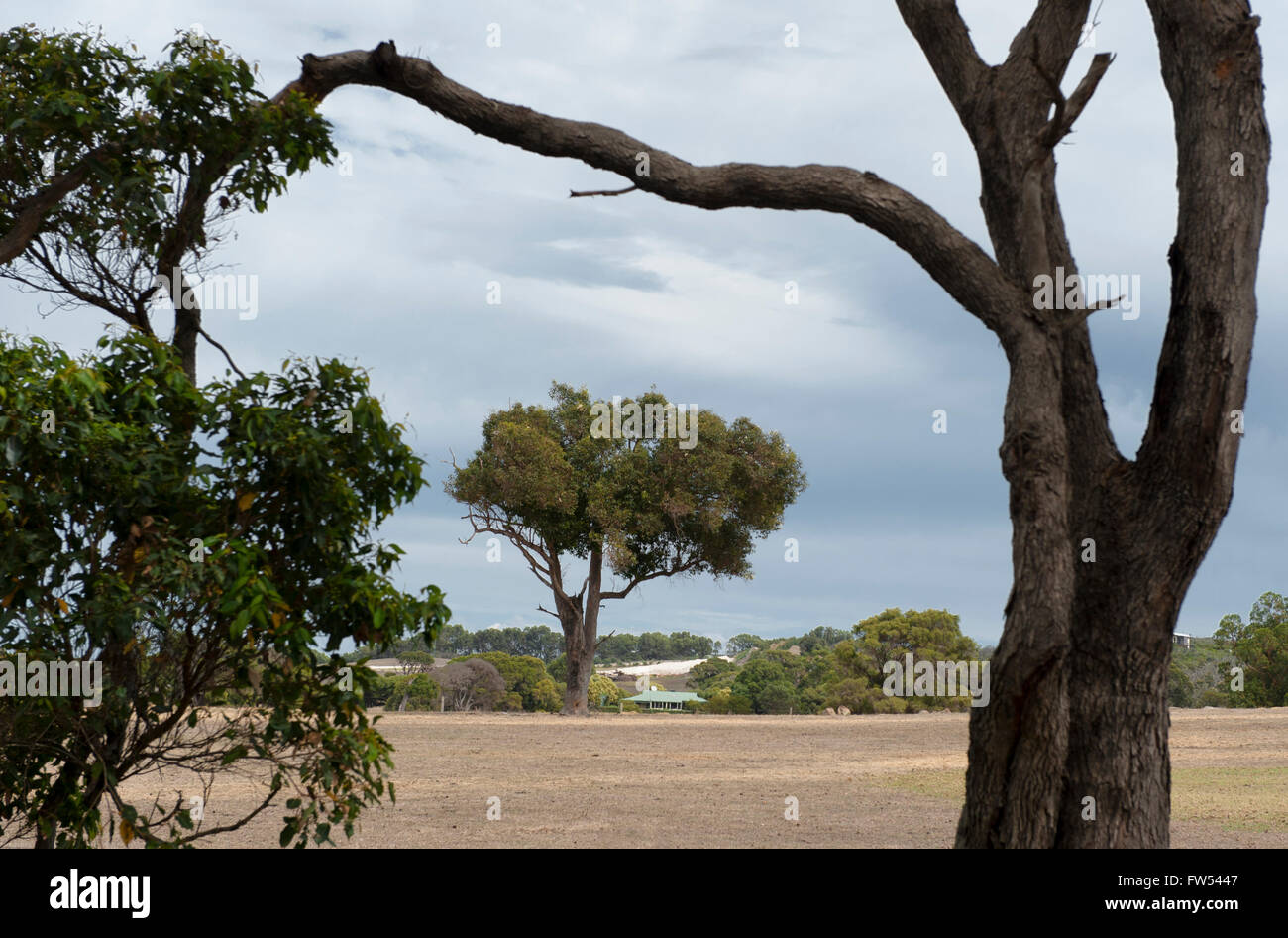 Tipico paesaggio di terreni agricoli lungo la strada delle grotte nella regione di Margaret River, Australia occidentale, Australia Foto Stock