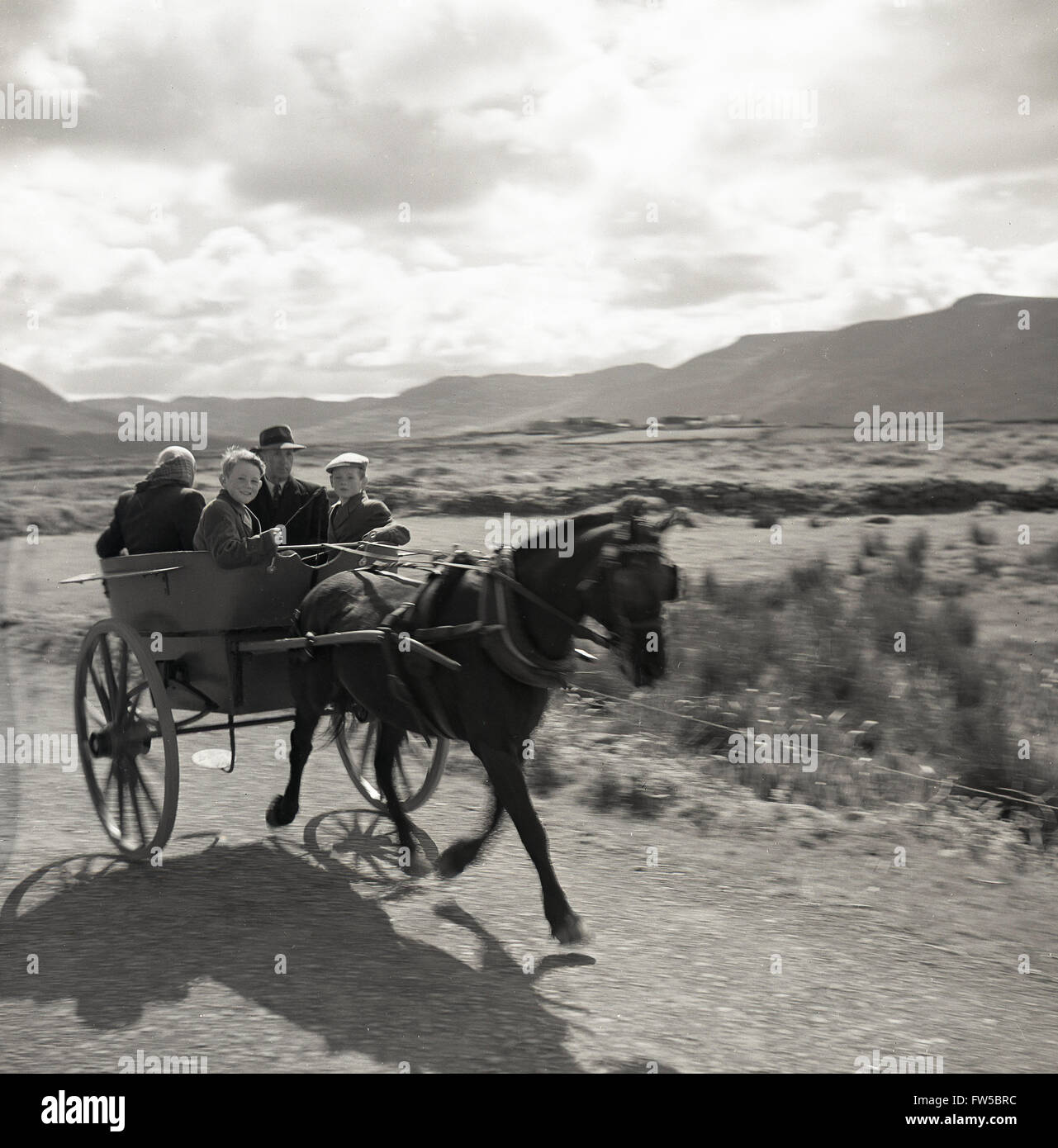 Anni '50, storico, diurno e in Irlanda rurale, un padre, una madre e i loro giovani ragazzi che viaggiano a cavallo e trappola, lungo una corsia di campagna nell'Irlanda occidentale. Foto Stock