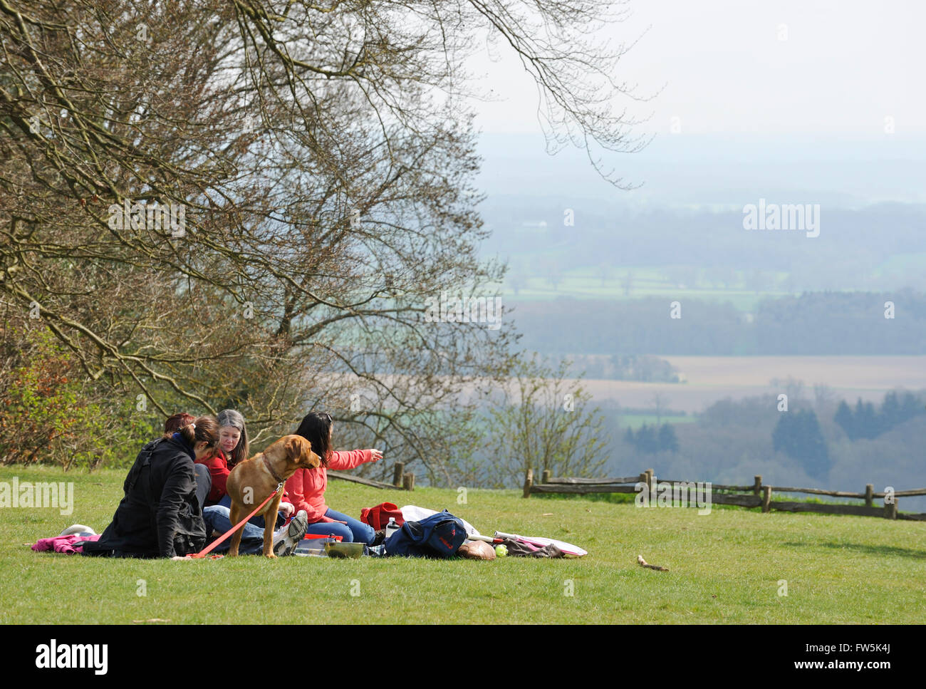 Picnic al Box Hill, vicino a Dorking, Surrey, con scatola degli alberi. Romanziere inglese Jane Austen impostare una scena importante nel suo romanzo Foto Stock