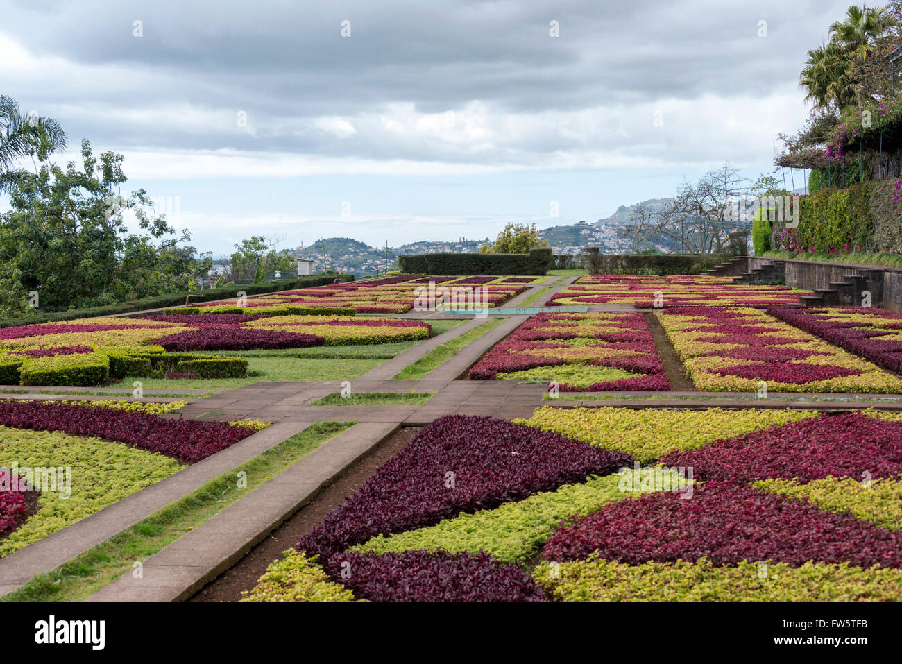 Giardino botanico di Funchal sull'isola portoghese di Madeira Foto Stock
