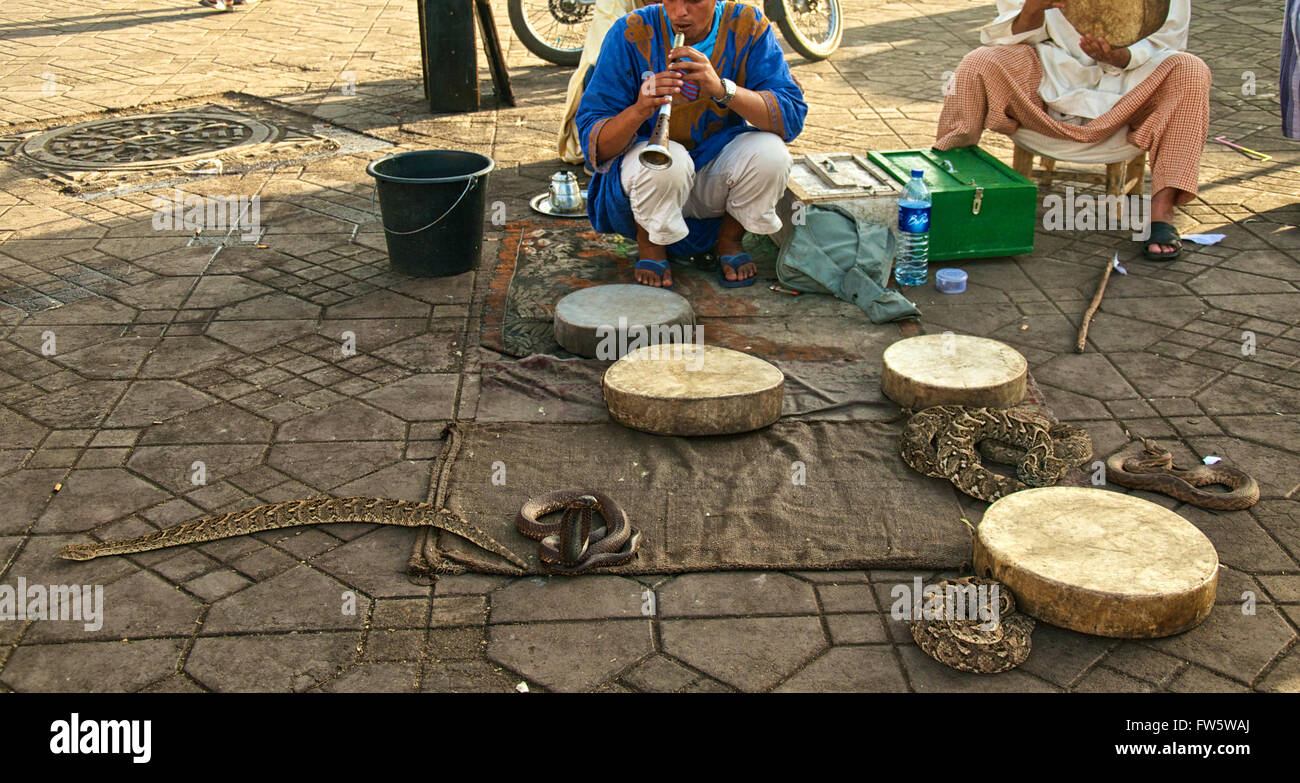 Incantati dai suoni degli oboi e dallo spettacolo antico degli incantatori di serpenti. Piazza Jemaa el Fna a Marrakech, Marocco. Foto Stock