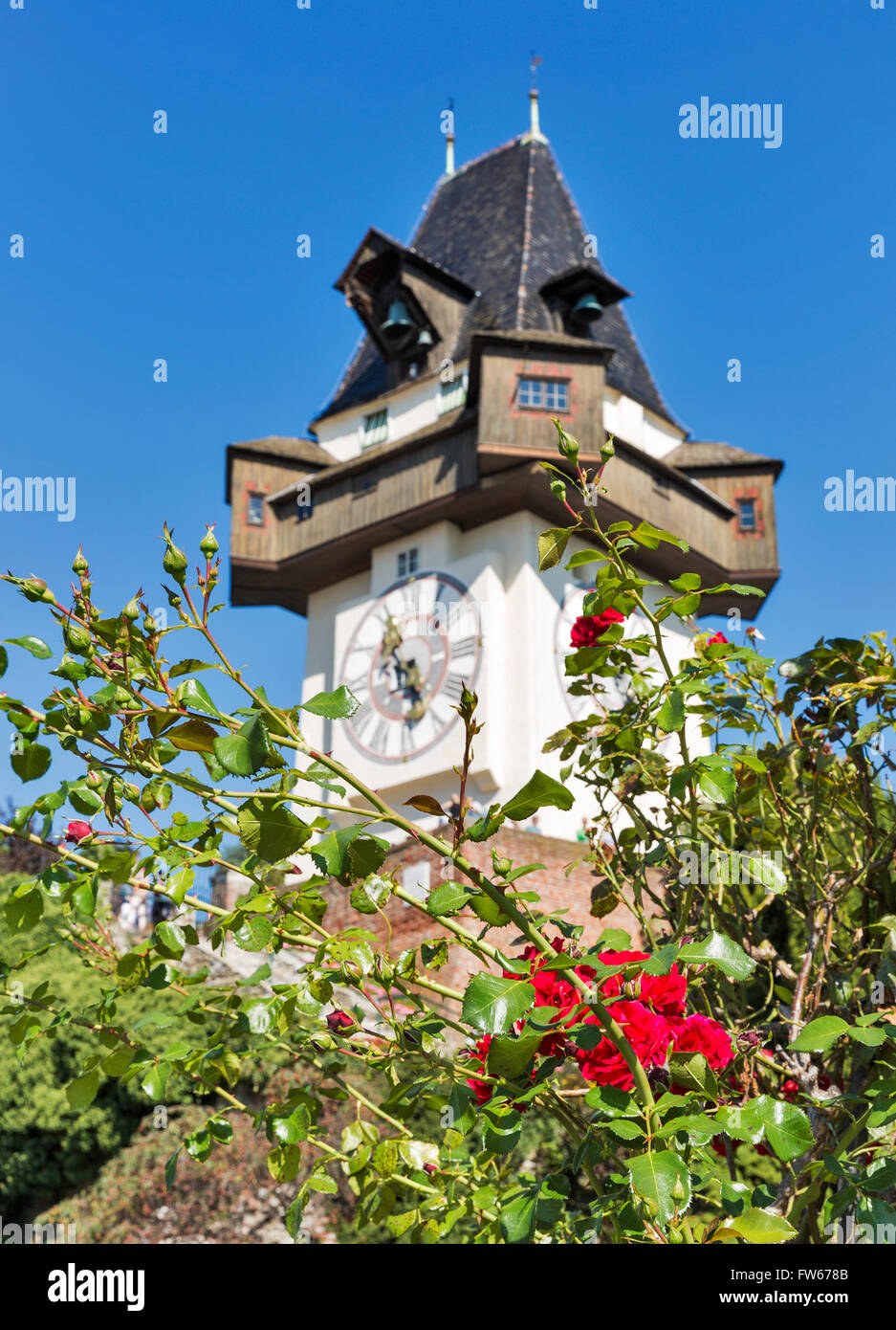 Giardino di Rose e la torre dell orologio Uhrturm Graz, in Austria. La messa a fuoco in primo piano. Foto Stock