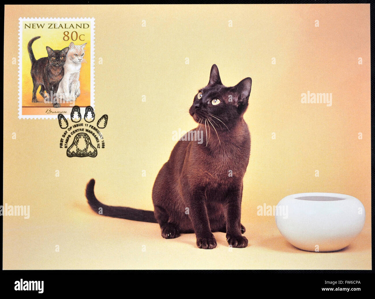 Nuova Zelanda - circa 1998: timbro stampato in Nuova Zelanda mostra il gatto domestico, Birmano, circa 1998 Foto Stock