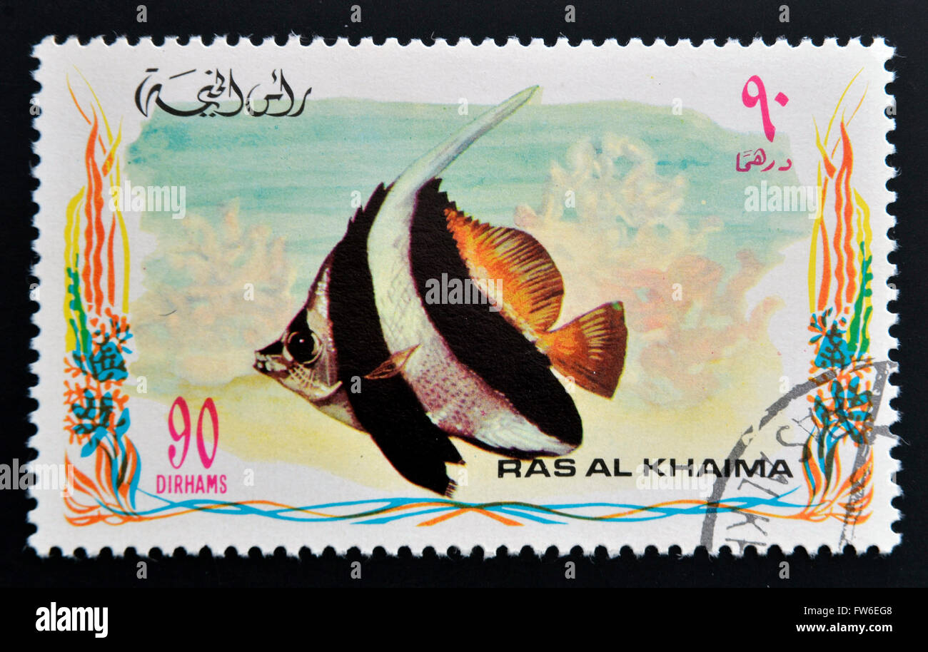 RAS al-Khaimah - circa 2006: un timbro stampato a Ras al-Khaimah mostra un pesce, Heniochus acuminatus, Pennant coralfish, circa 2006 Foto Stock