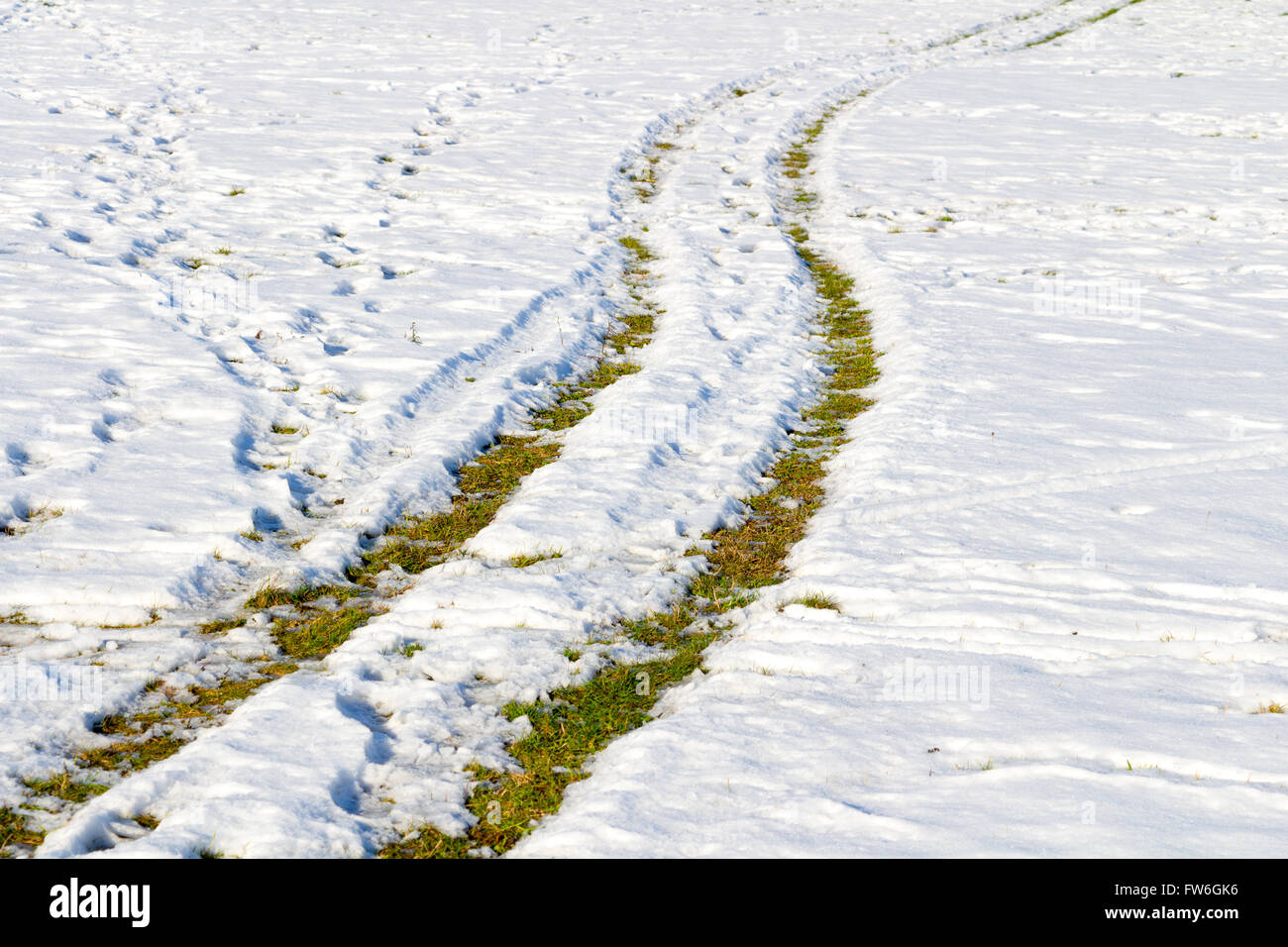 Pneumatici per auto le tracce sulla neve Foto Stock