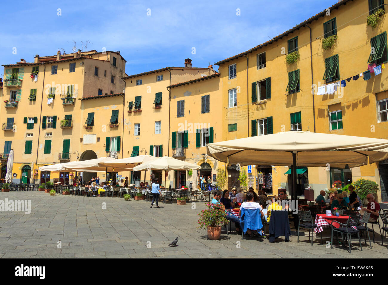 Il famoso ovale piazza della città in una giornata di sole a Lucca, Toscana, Italia Foto Stock