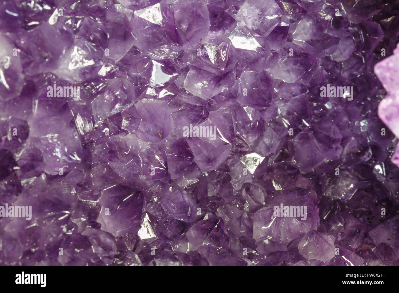 Ametista naturale sfondo di cristallo. L'ametista è una forma viola di quarzo Foto Stock