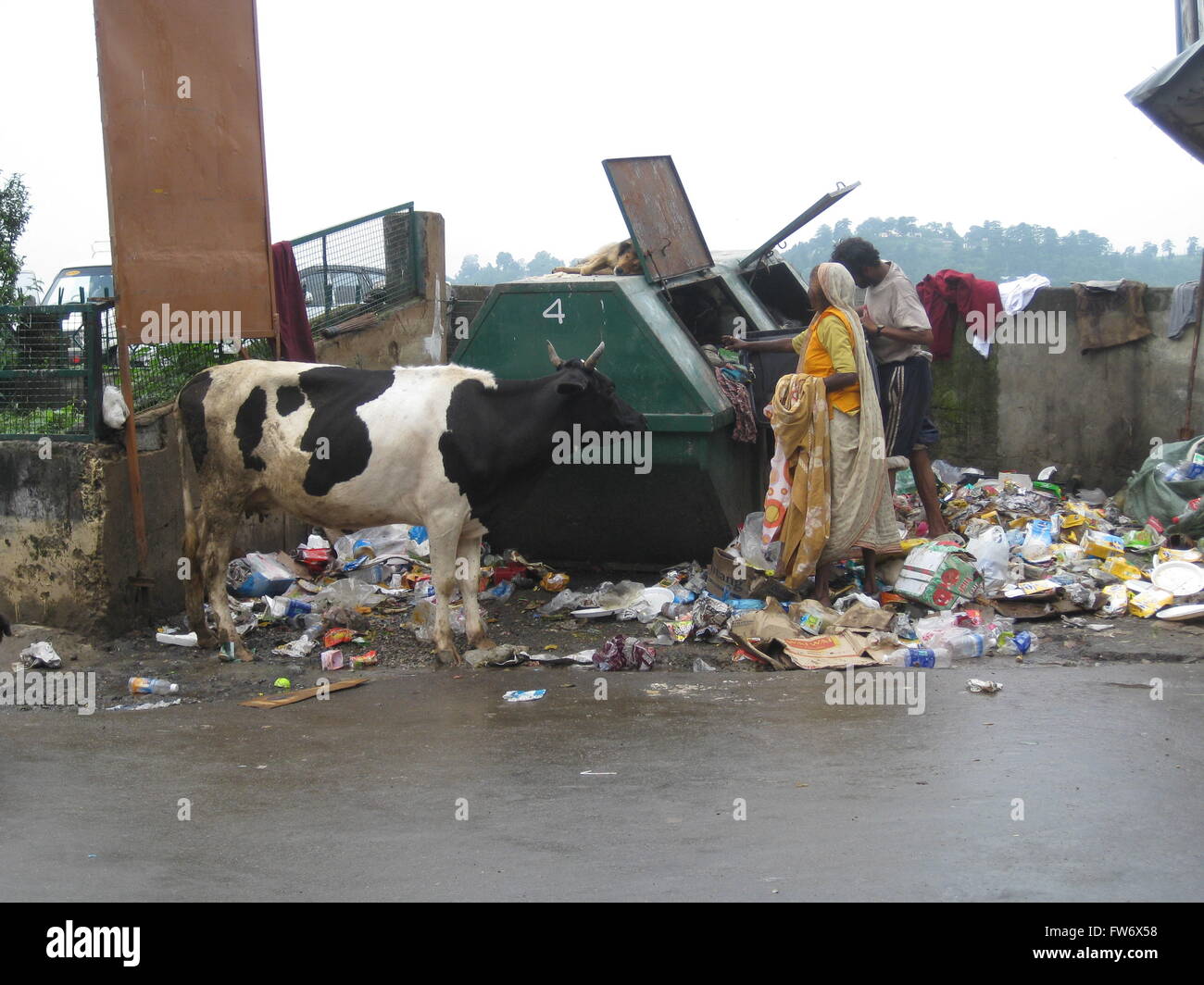 Vacca, mendicanti, e cane tutto sostenuta dal cassonetto in McLeod Ganj India Foto Stock