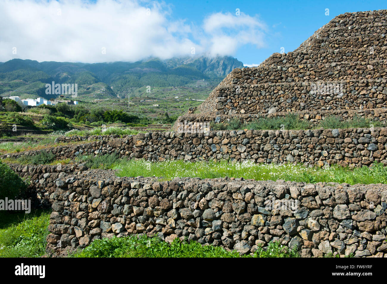 Spanien, Teneriffa, Parque Etnografico Piramides de Güimar Foto Stock