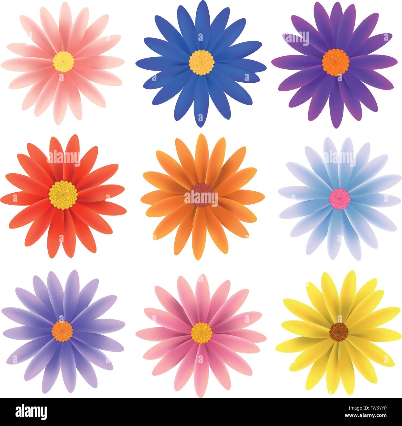 Set di nove gerber daisy fiori in vari colori isolato su bianco illustrazione vettoriale Illustrazione Vettoriale