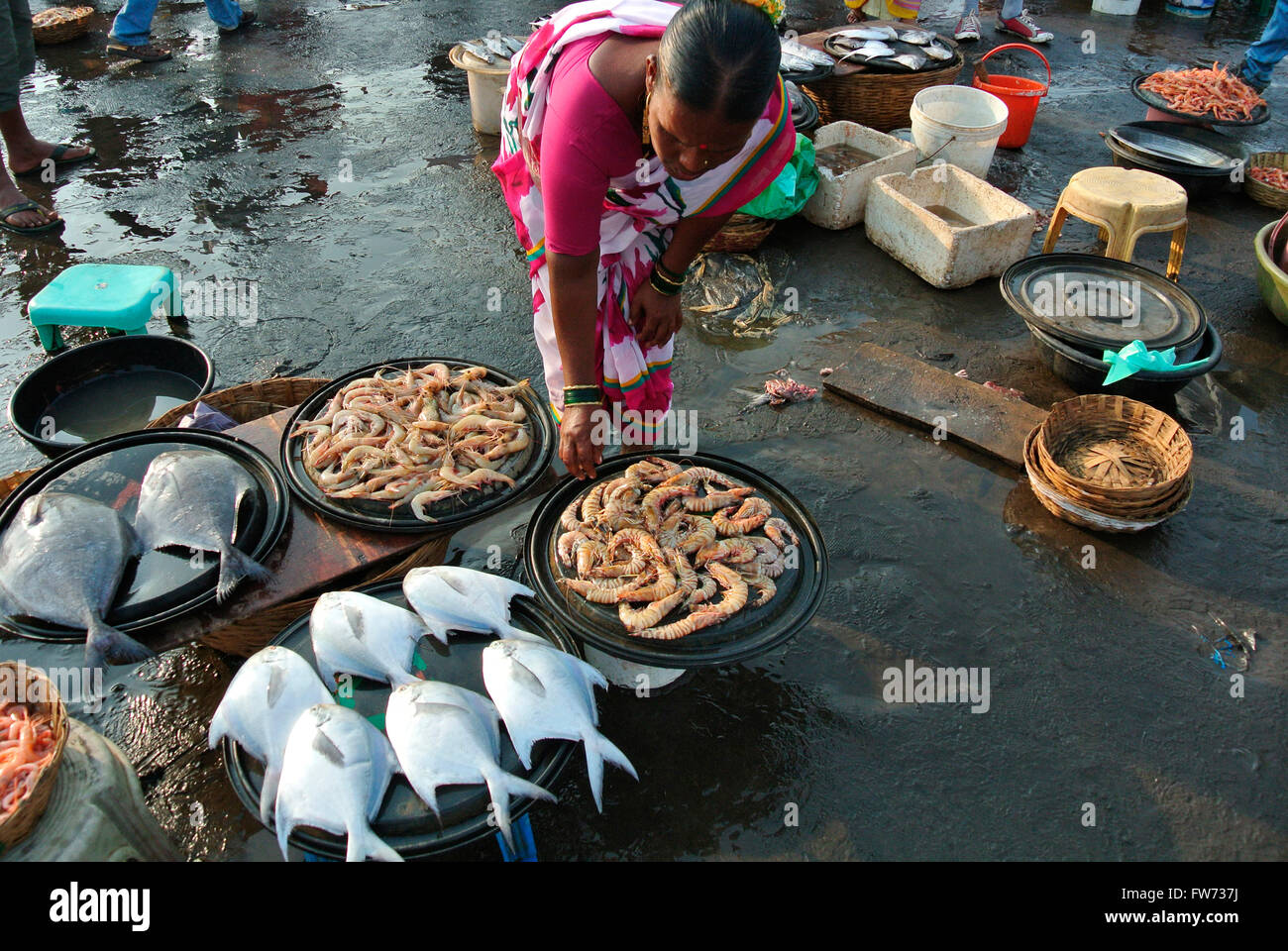 Pesce conservato per la vendita nel mercato del pesce, harney village, konkan, India Foto Stock