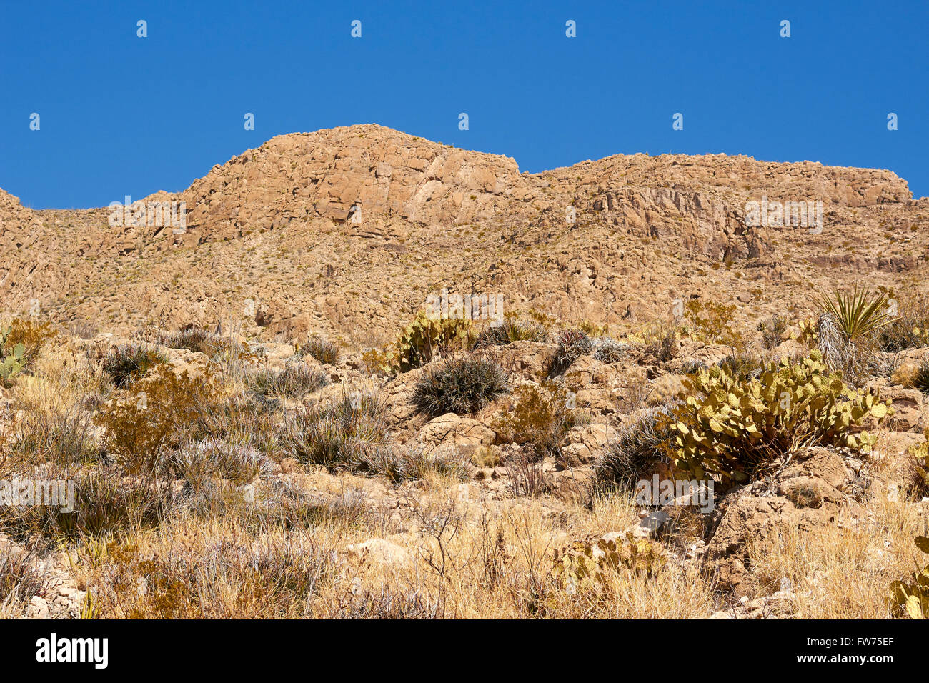 Boquillas Canyon, il Parco nazionale di Big Bend, Texas, Stati Uniti d'America Messico confine Foto Stock