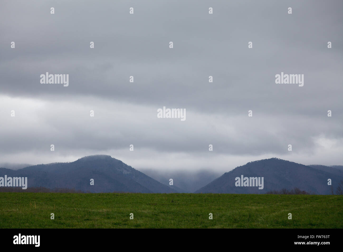 Montagne, Shenandoah Valley, Virginia, Stati Uniti d'America. Foto Stock