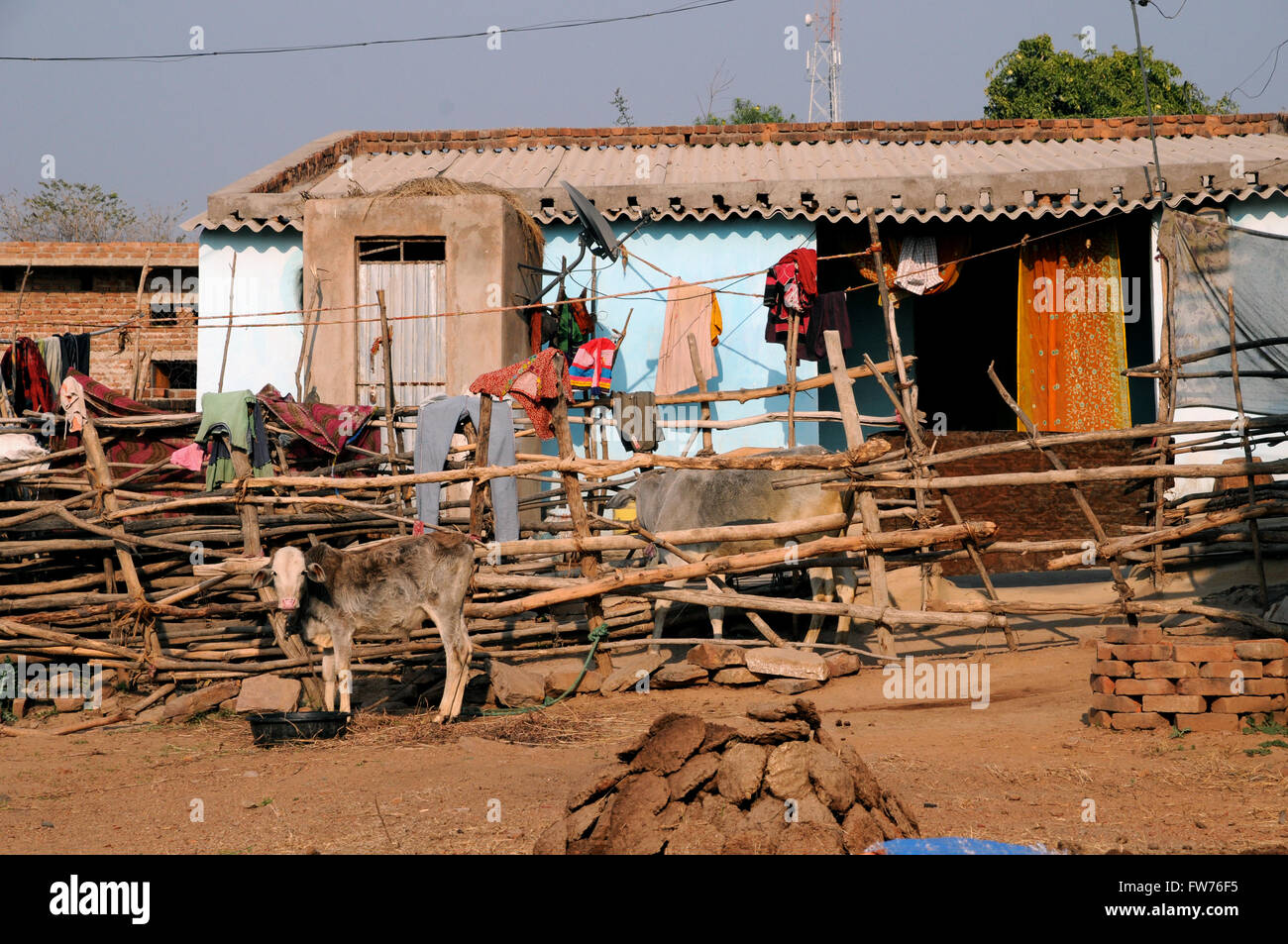 La vita rurale in un piccolo villaggio nei pressi di Khajuraho, Madhya Pradesh in India del Nord. In primo piano è essiccato sterco di vacca. Foto Stock