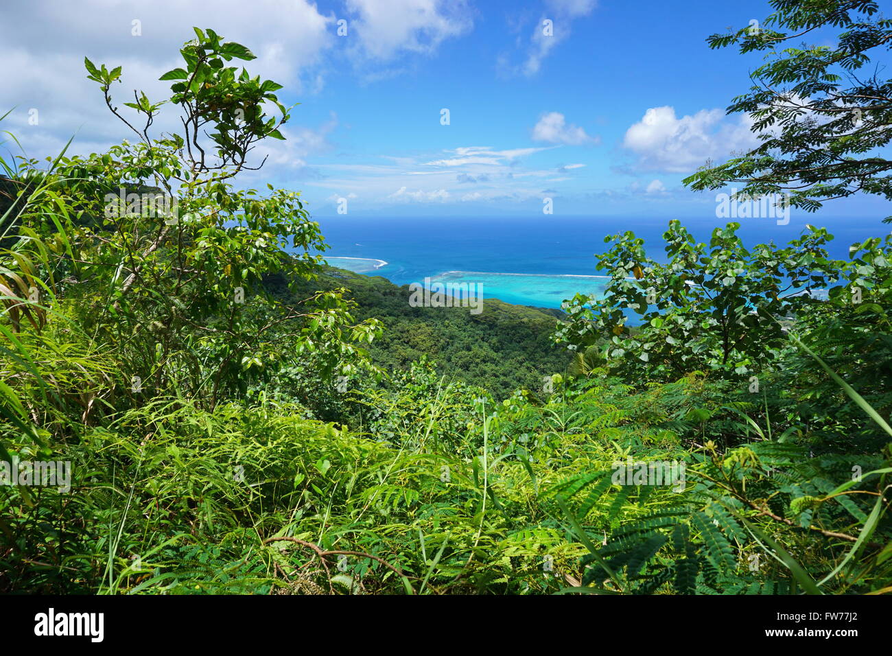 La vegetazione verde con vista oceano dalle altezze di Huahine Nui Isola, oceano pacifico, Polinesia Francese Foto Stock