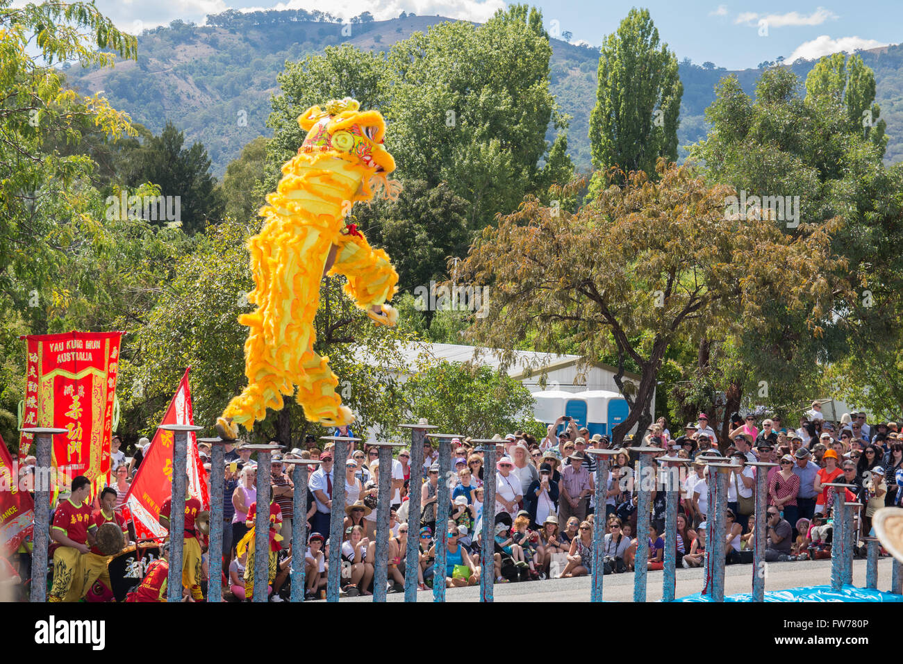 Cinese Drago australiano esecutori di saltare attraverso poli a Nundle Festival di Pasqua 2016 Foto Stock