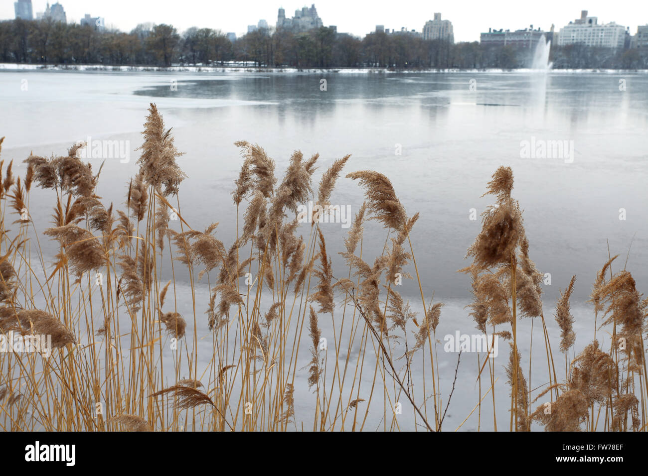 New York cityscape Foto Stock