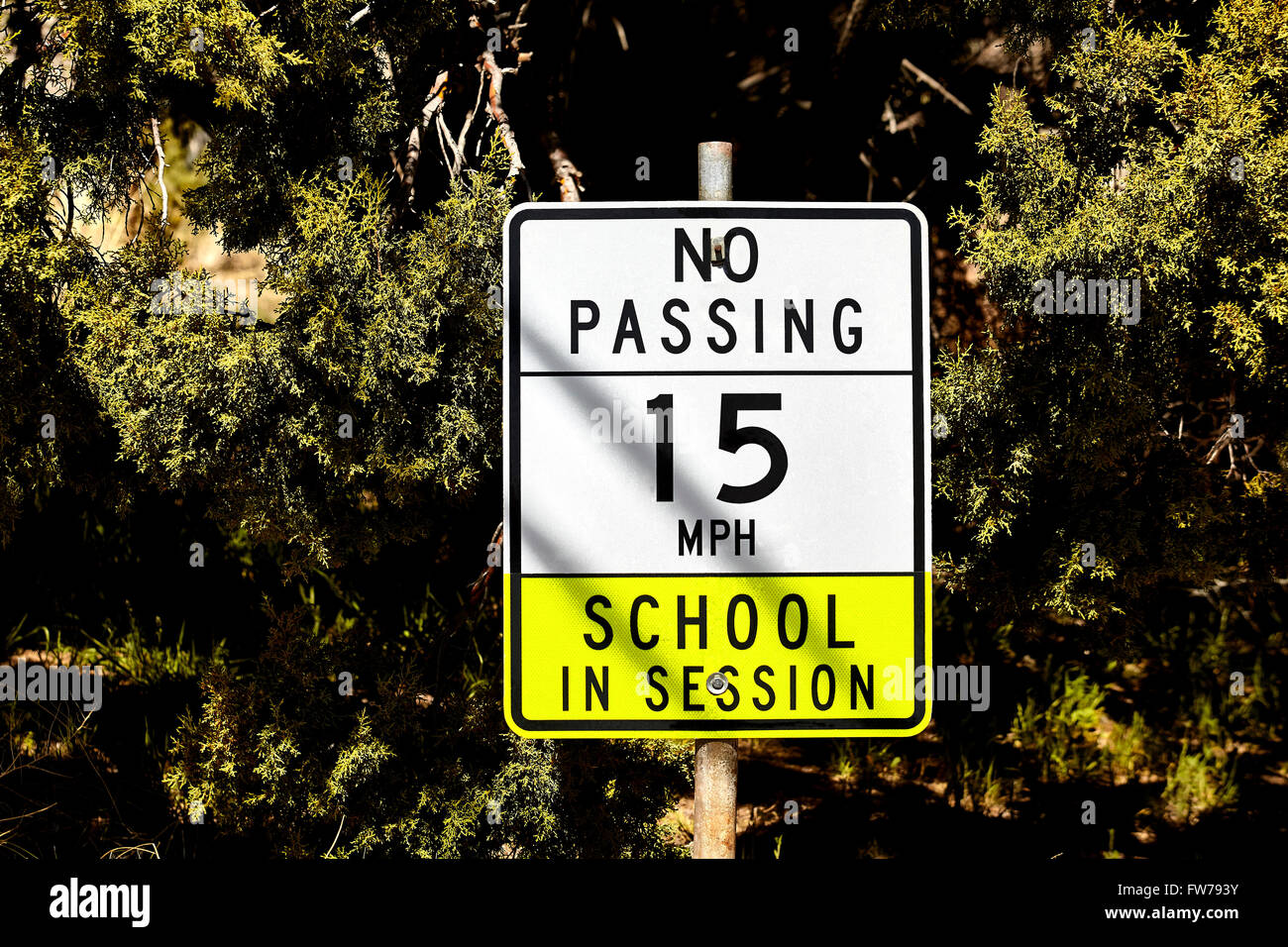 Il segno inviato sulla canalizzazione vicino a scuola dicendo no passando il limite massimo di velocità 15 scuola nella sessione con alberi in background Foto Stock