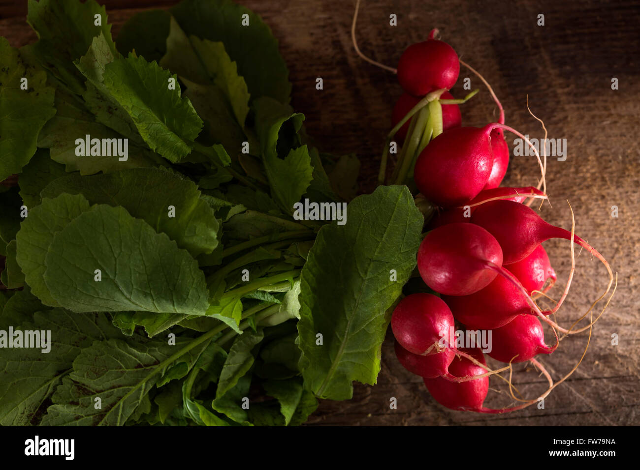Mazzetto di ravanelli su vecchie tavole di legno Foto Stock