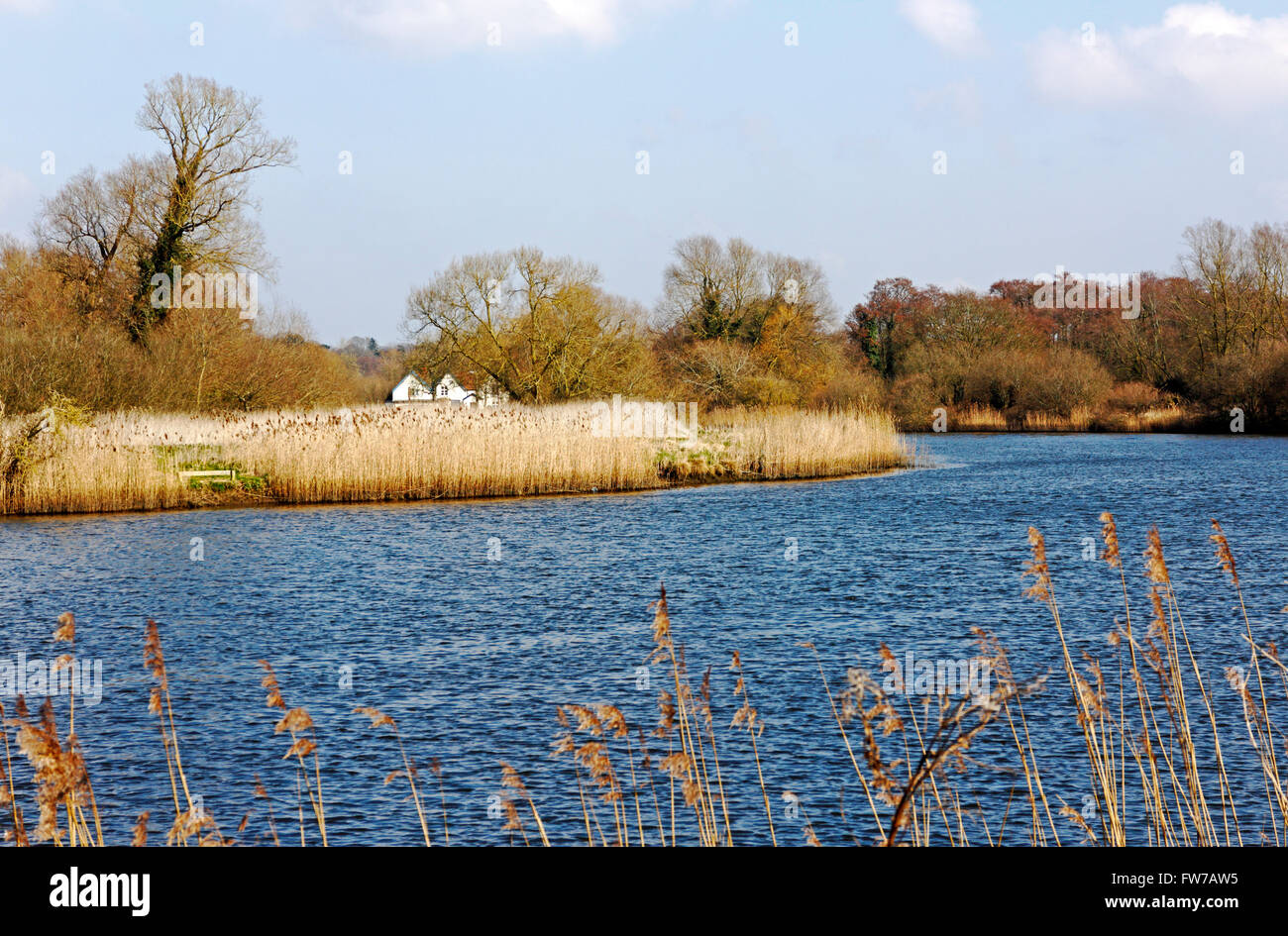 Una vista di un ansa del fiume y vengono su Norfolk Broads avvicinando Surlingham Ferry Norfolk, Inghilterra, Regno Unito. Foto Stock