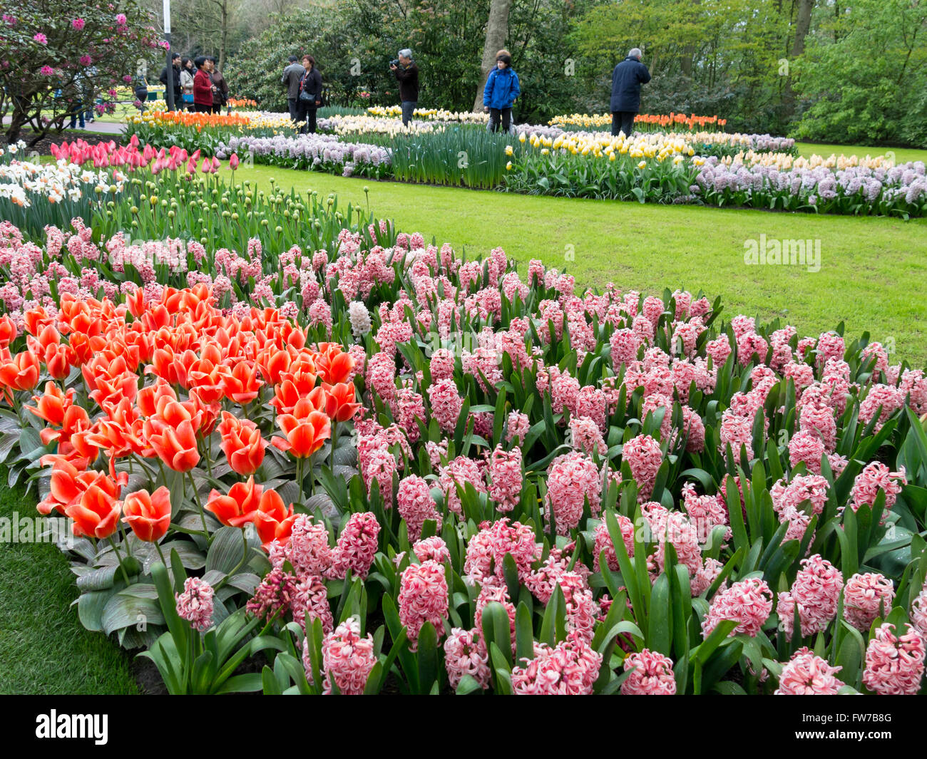 I turisti e i fiori in primavera in giardini Keukenhof in Lisse, South Holland, Paesi Bassi Foto Stock