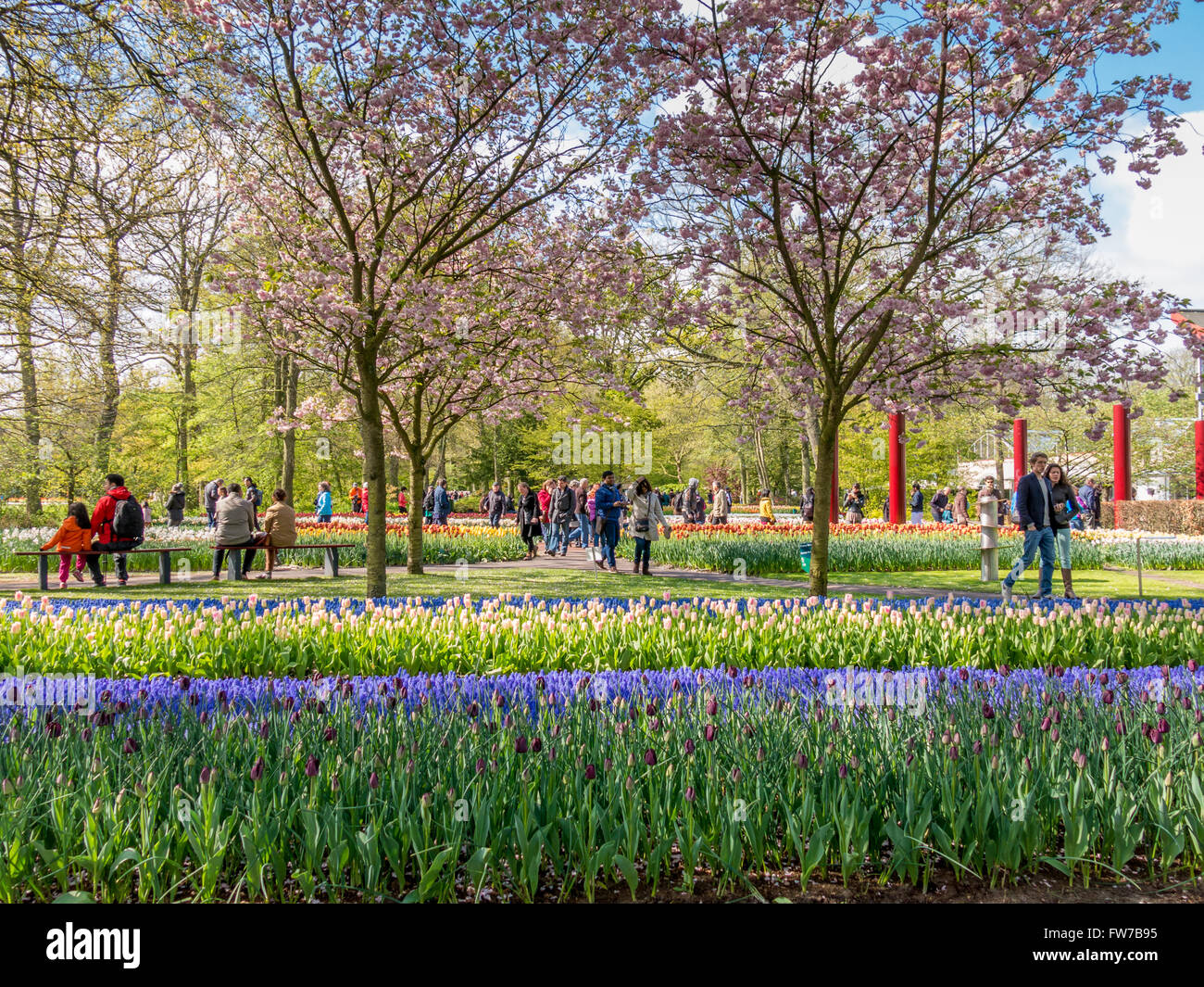 I turisti e i fiori in primavera in giardini Keukenhof in Lisse, South Holland, Paesi Bassi Foto Stock