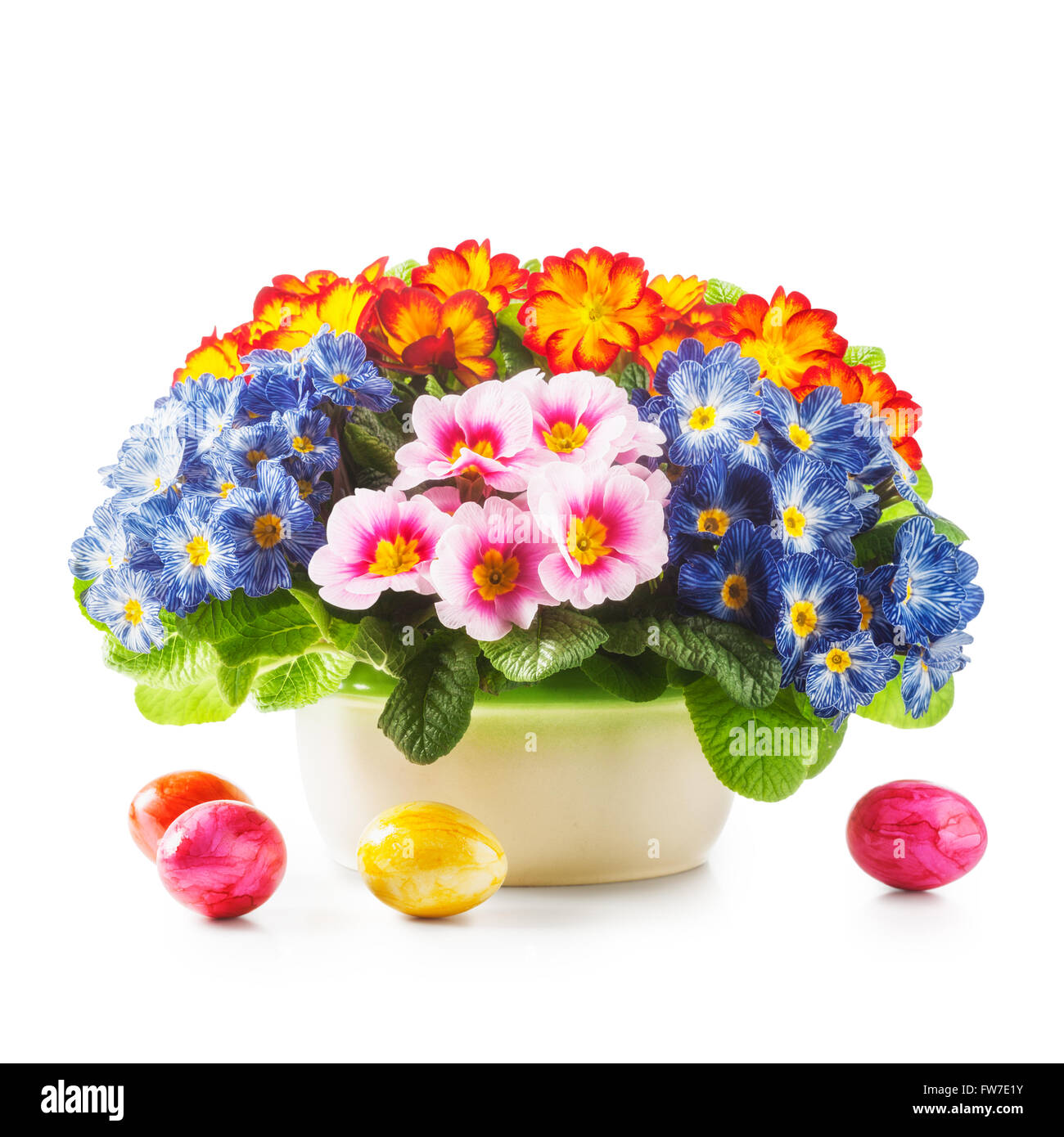 La molla di primule in vaso di fiori colorati e uova di pasqua isolato su sfondo bianco. Gli oggetti con tracciato di ritaglio Foto Stock