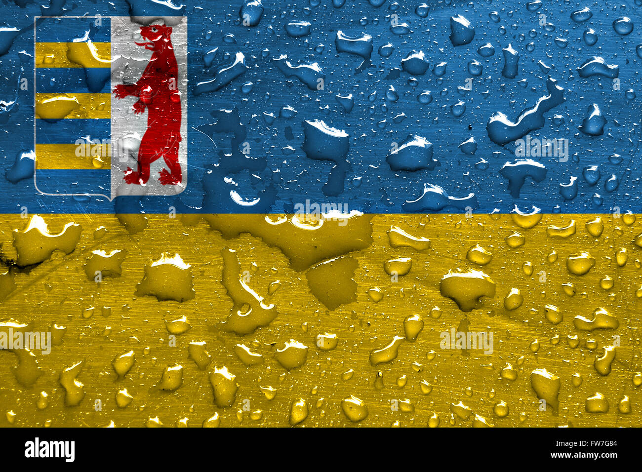 Bandiera della Zakarpattia Oblast con gocce di pioggia Foto Stock