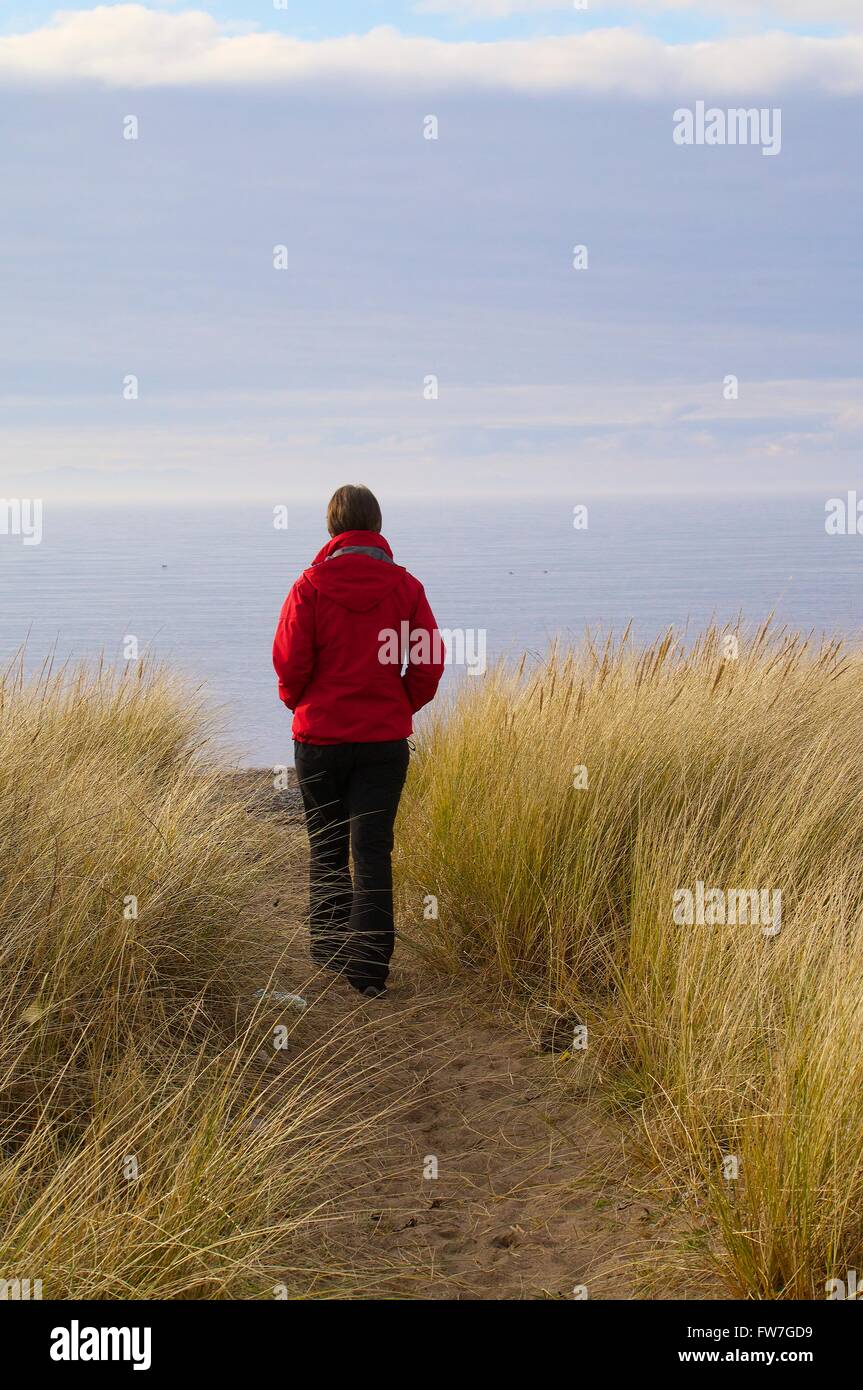 Lonely donna per raggiungere a piedi la spiaggia attraverso Marram erba. Allonby, Cumbria, England, Regno Unito, Europa. Foto Stock