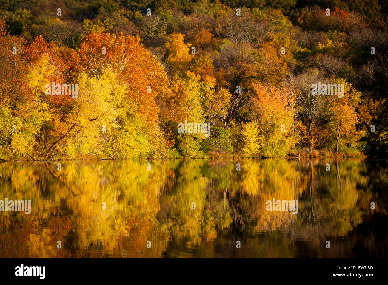 Colore di autunno a Radnor Lake, Nashville Tennessee, USA Foto Stock