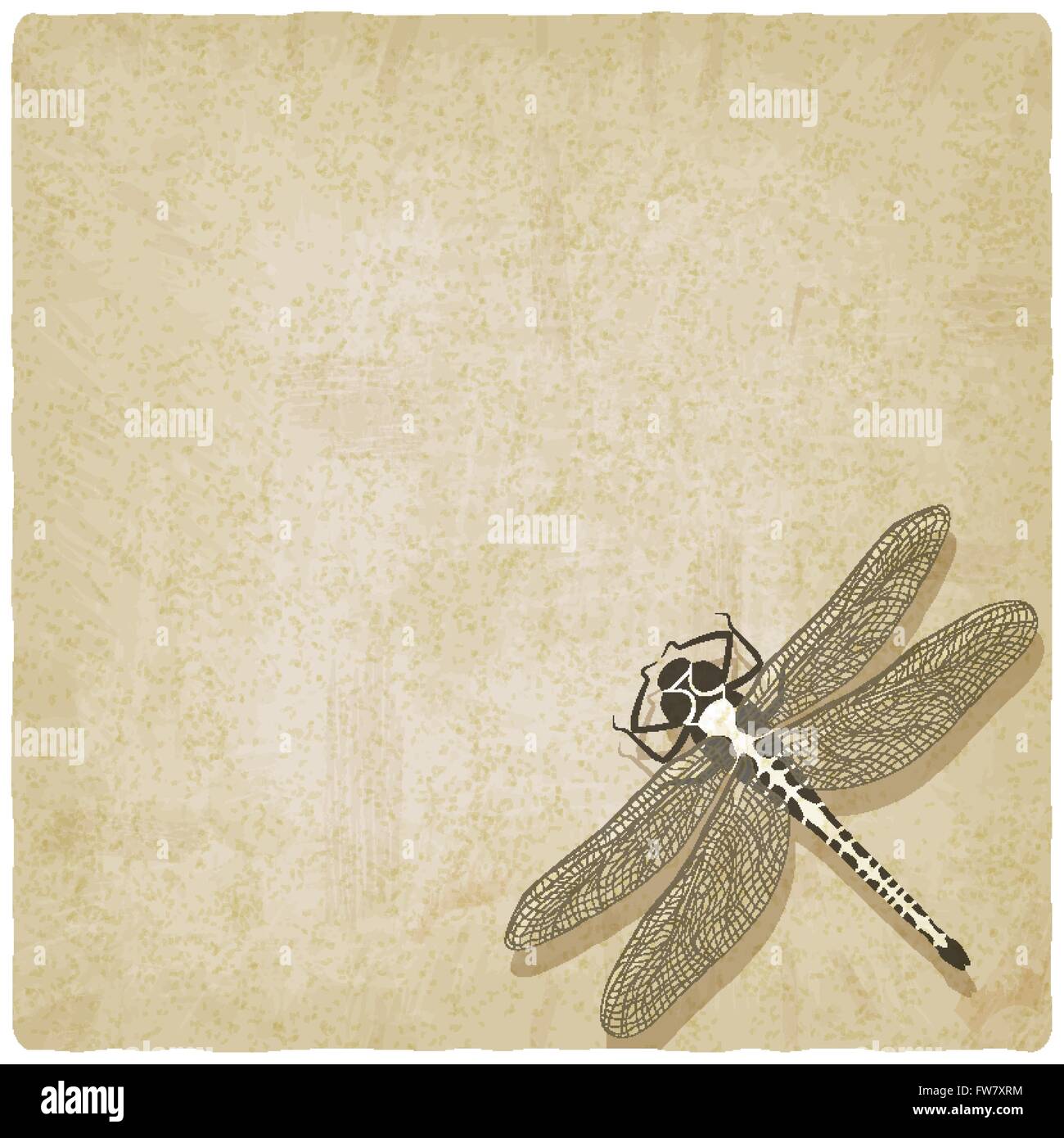 Dragonfly insetti sfondo vecchio - illustrazione vettoriale EPS. 10 Illustrazione Vettoriale