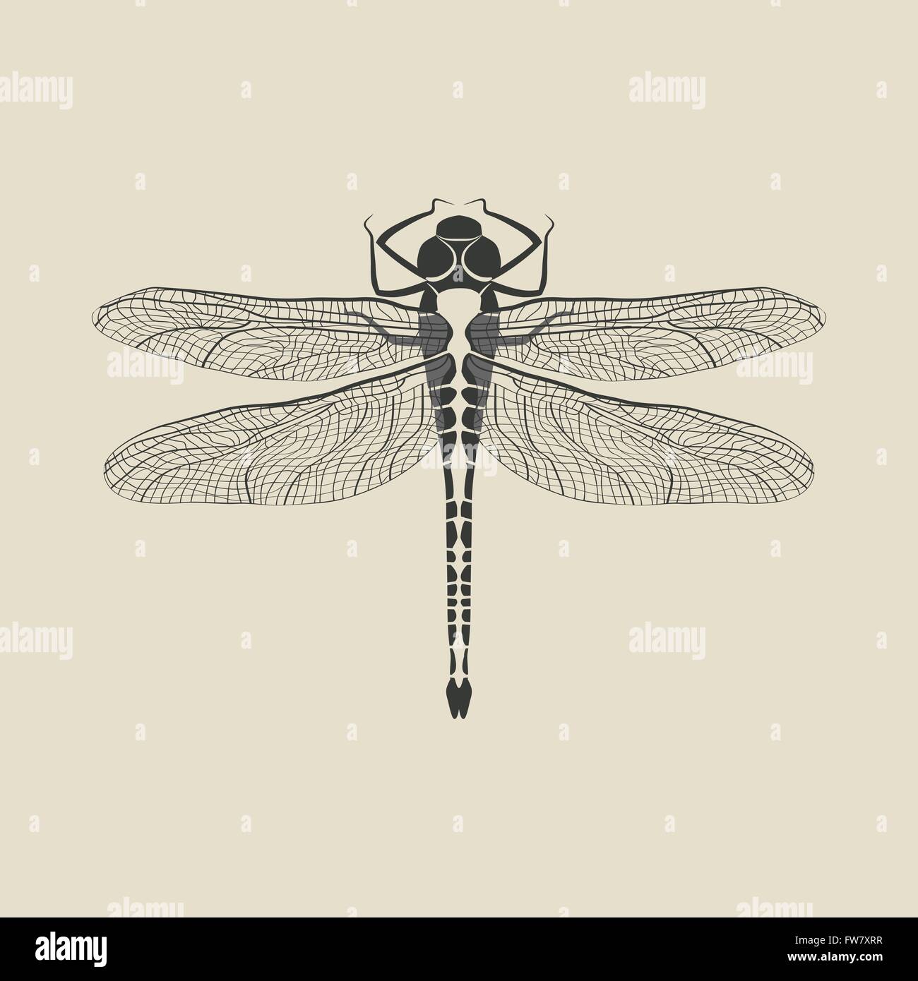 Nero insetto libellula - illustrazione vettoriale EPS. 8 Illustrazione Vettoriale