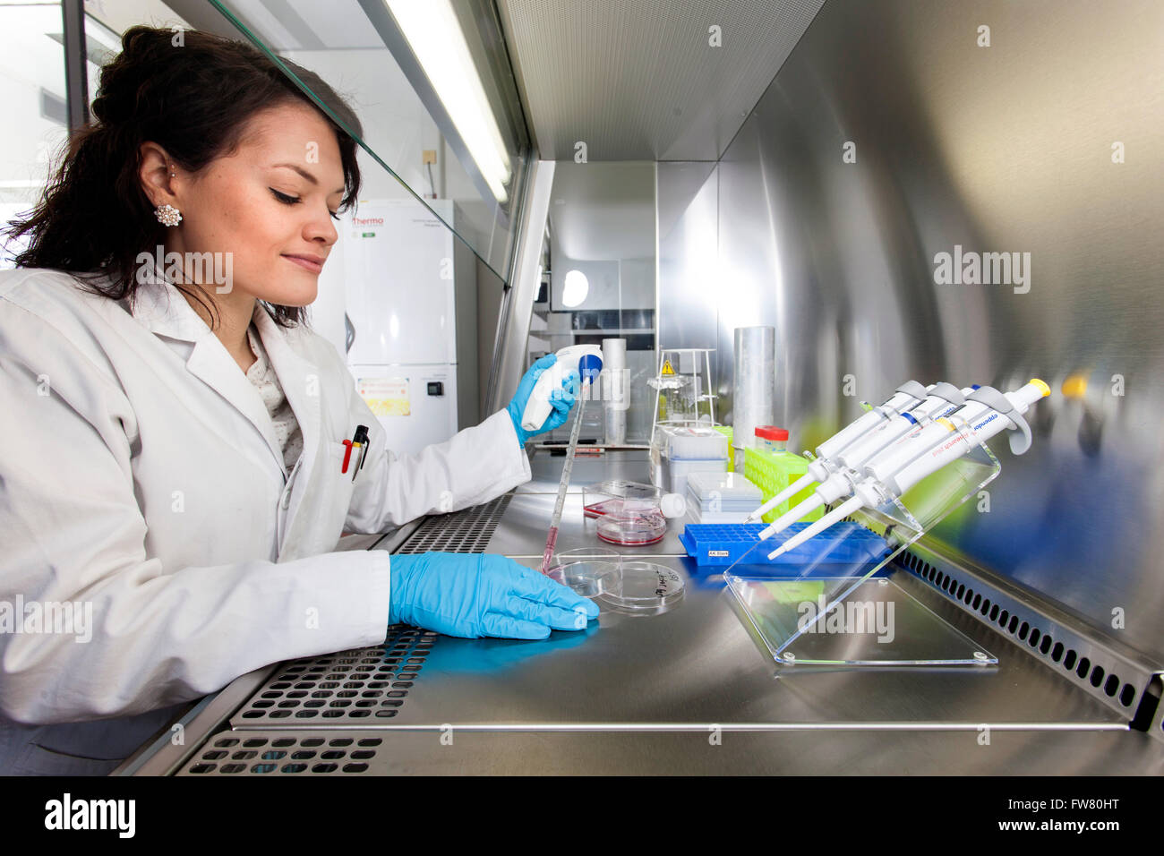 Scienziato in un laboratorio durante il pipettaggio. Foto Stock
