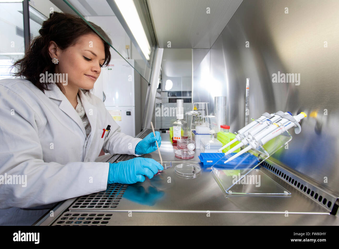 Scienziato in un laboratorio durante il pipettaggio. Foto Stock
